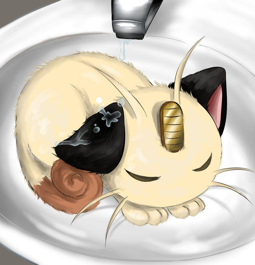 Meowth Sleeping In The Sink Background