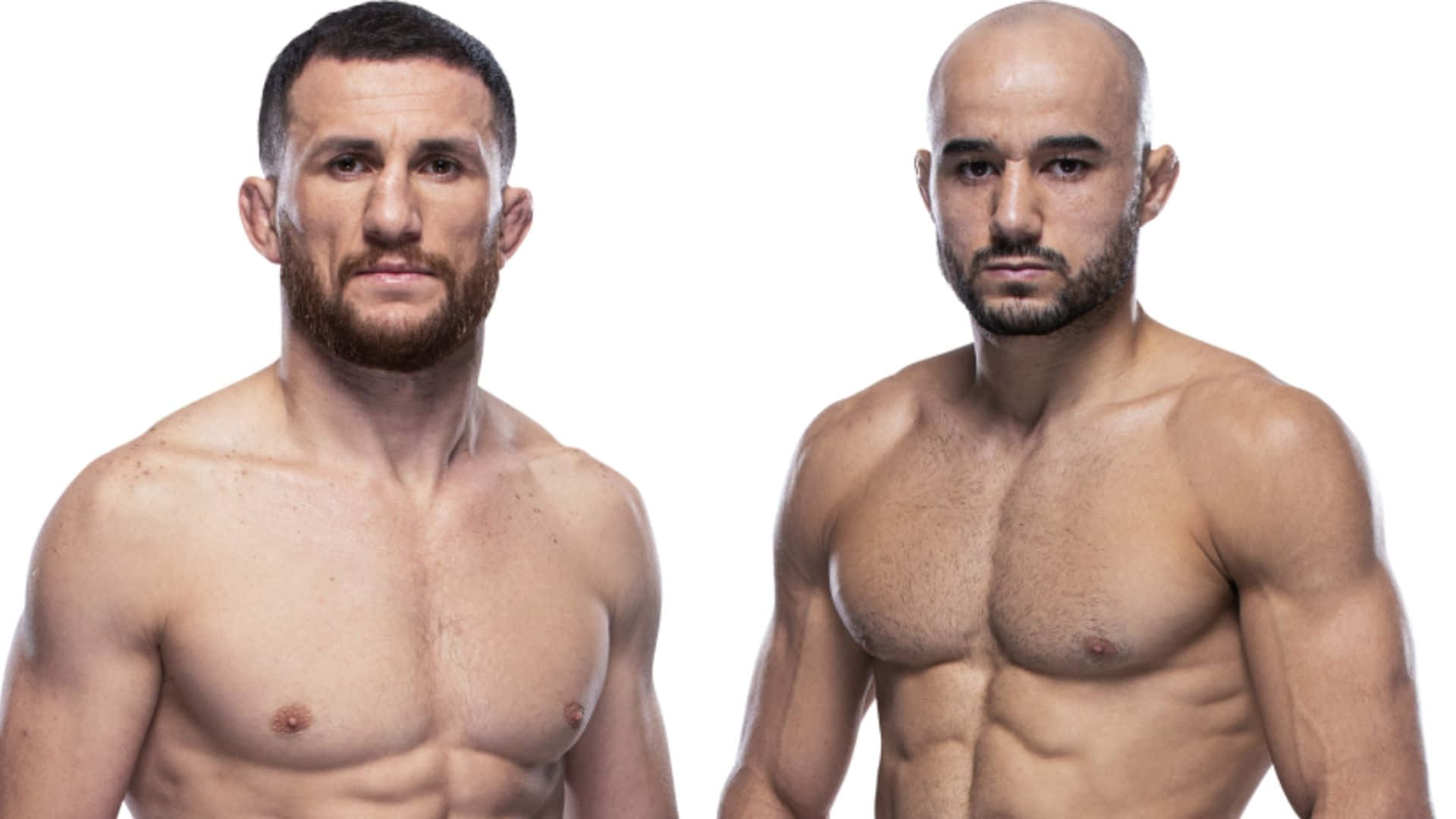 Merab Dvalishvili And Alexander Volkanovski Background