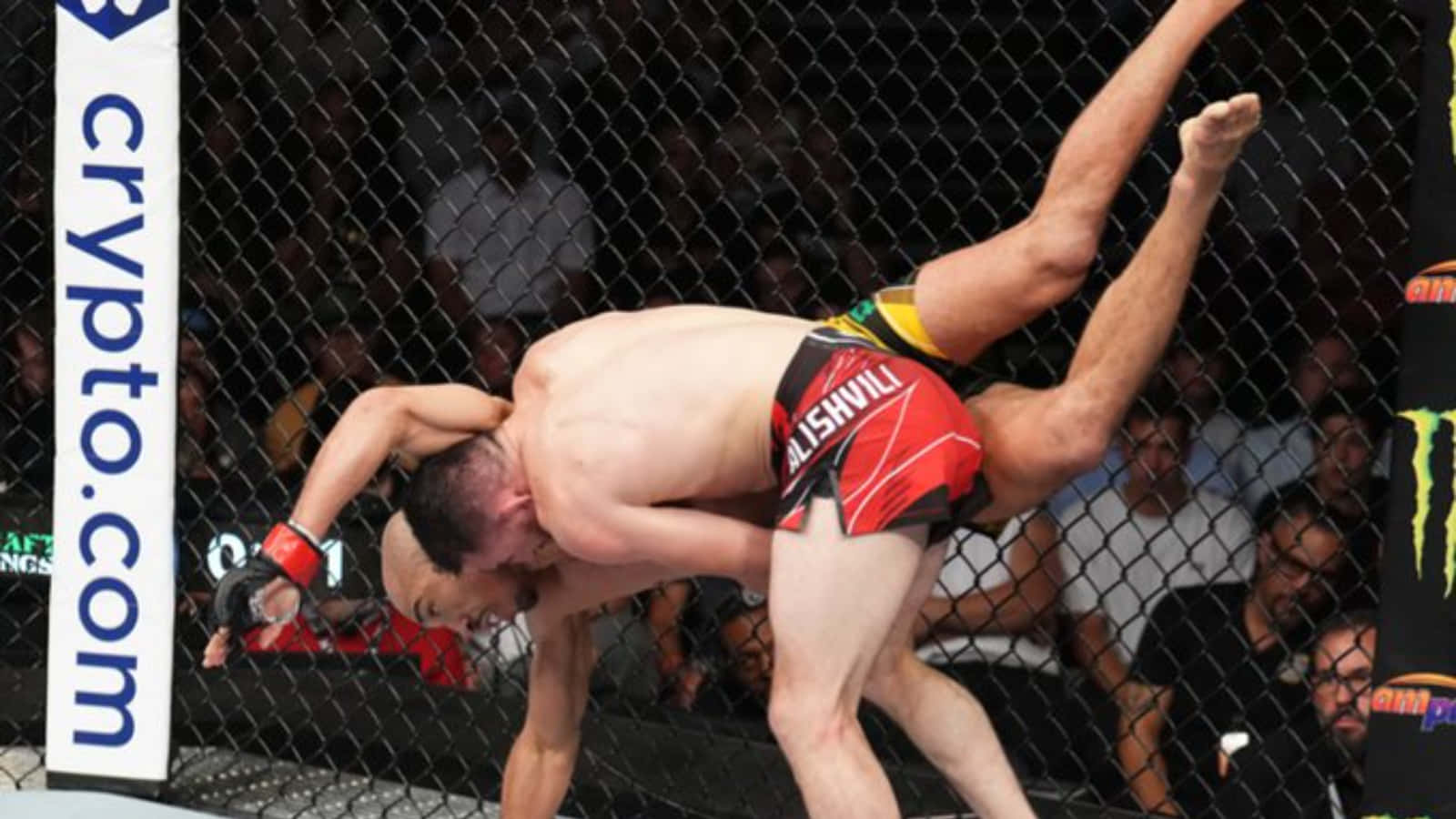Merab Dvalishvili Body Slam Background