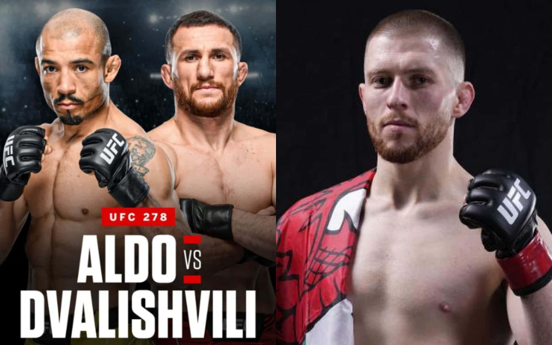 Merab Dvalishvili Jose Aldo Jack Shore Background