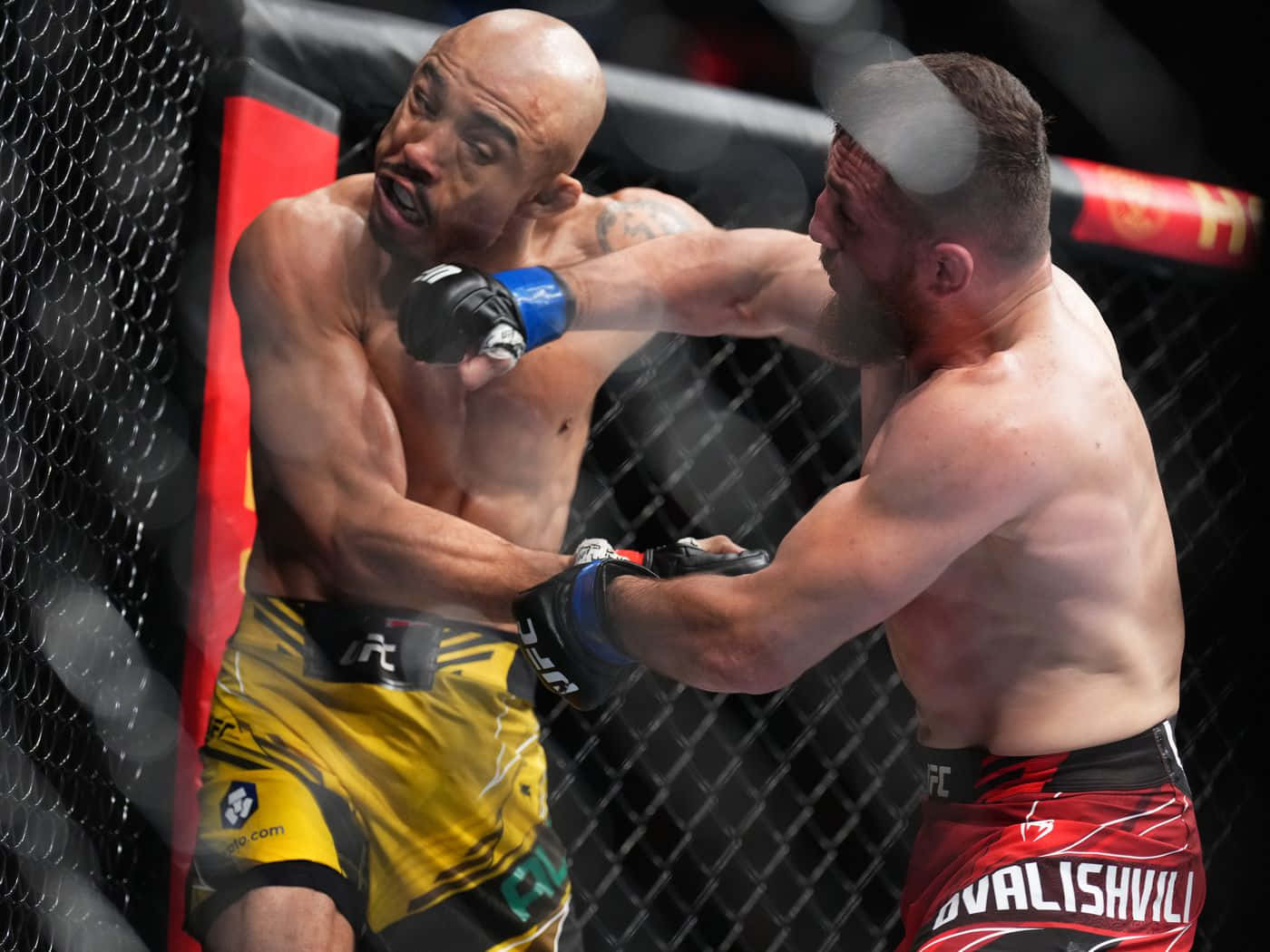 Merab Dvalishvili Punching Aldo Background