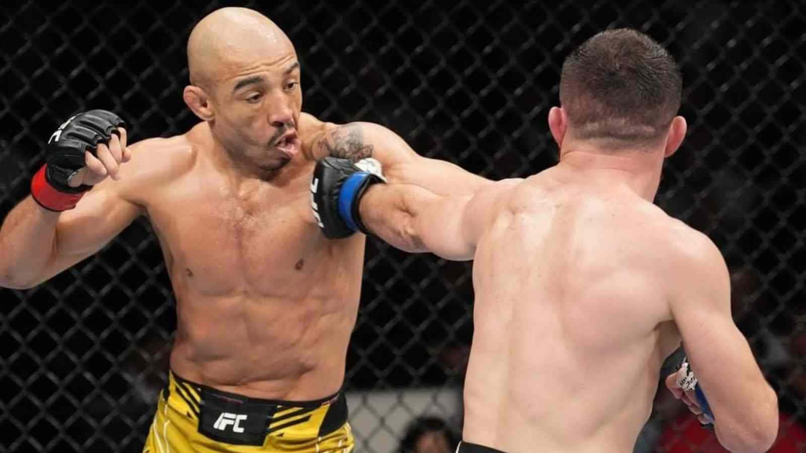 Merab Dvalishvili Punching His Opponent Background