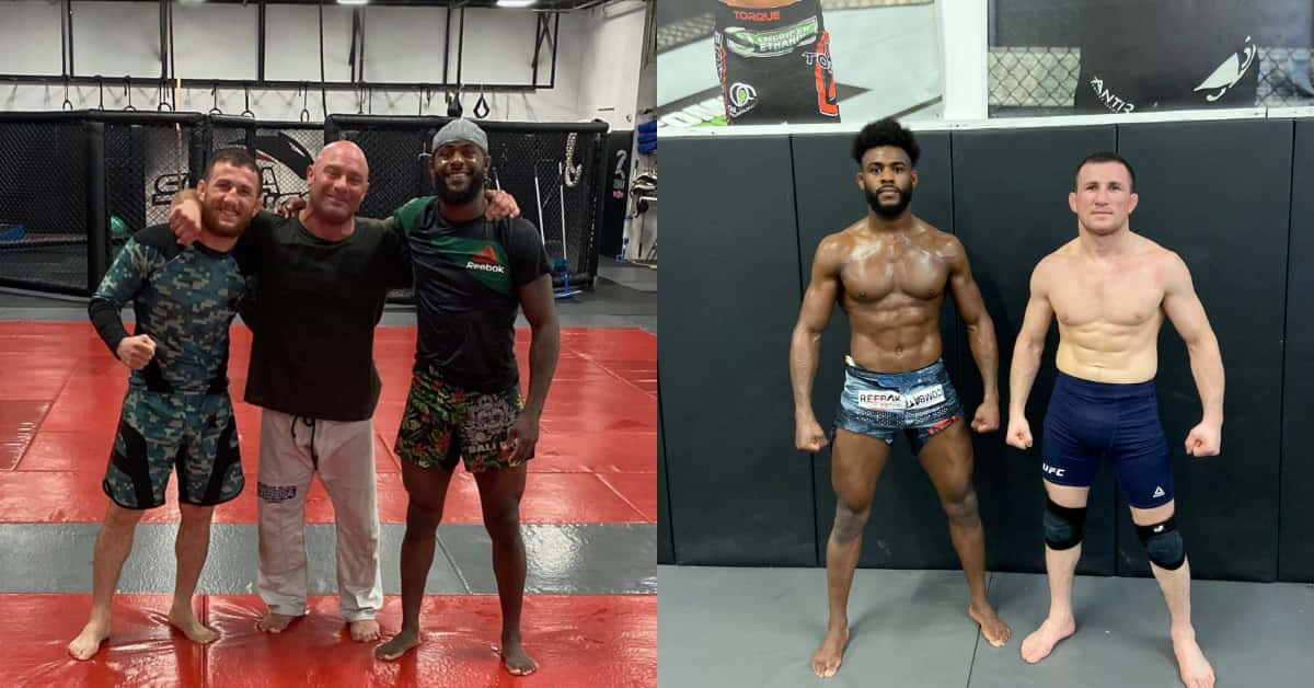 Merab Dvalishvili With Other Boxers Background