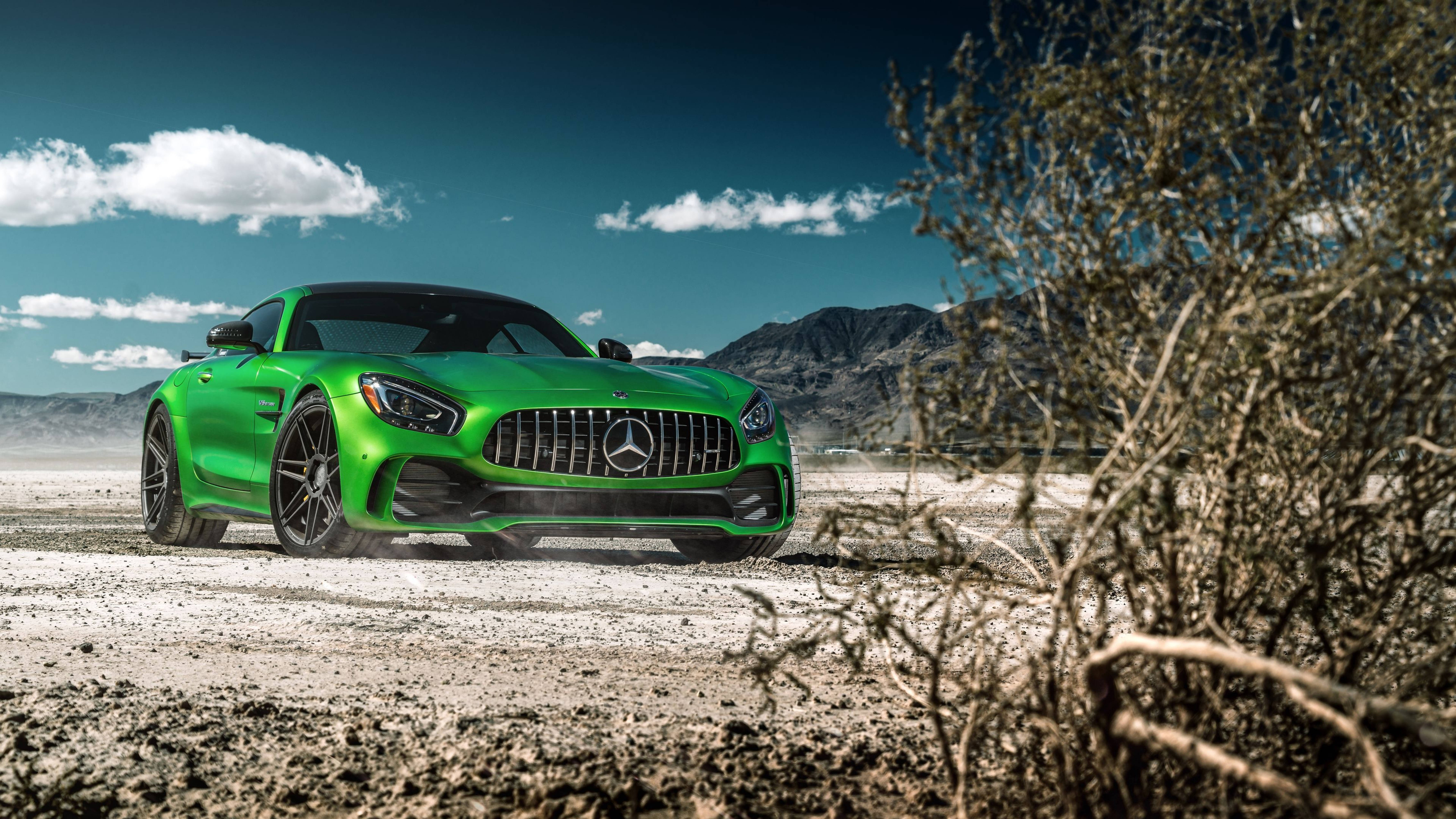 Mercedes Amg 4k Green Car With Dry Tree Background