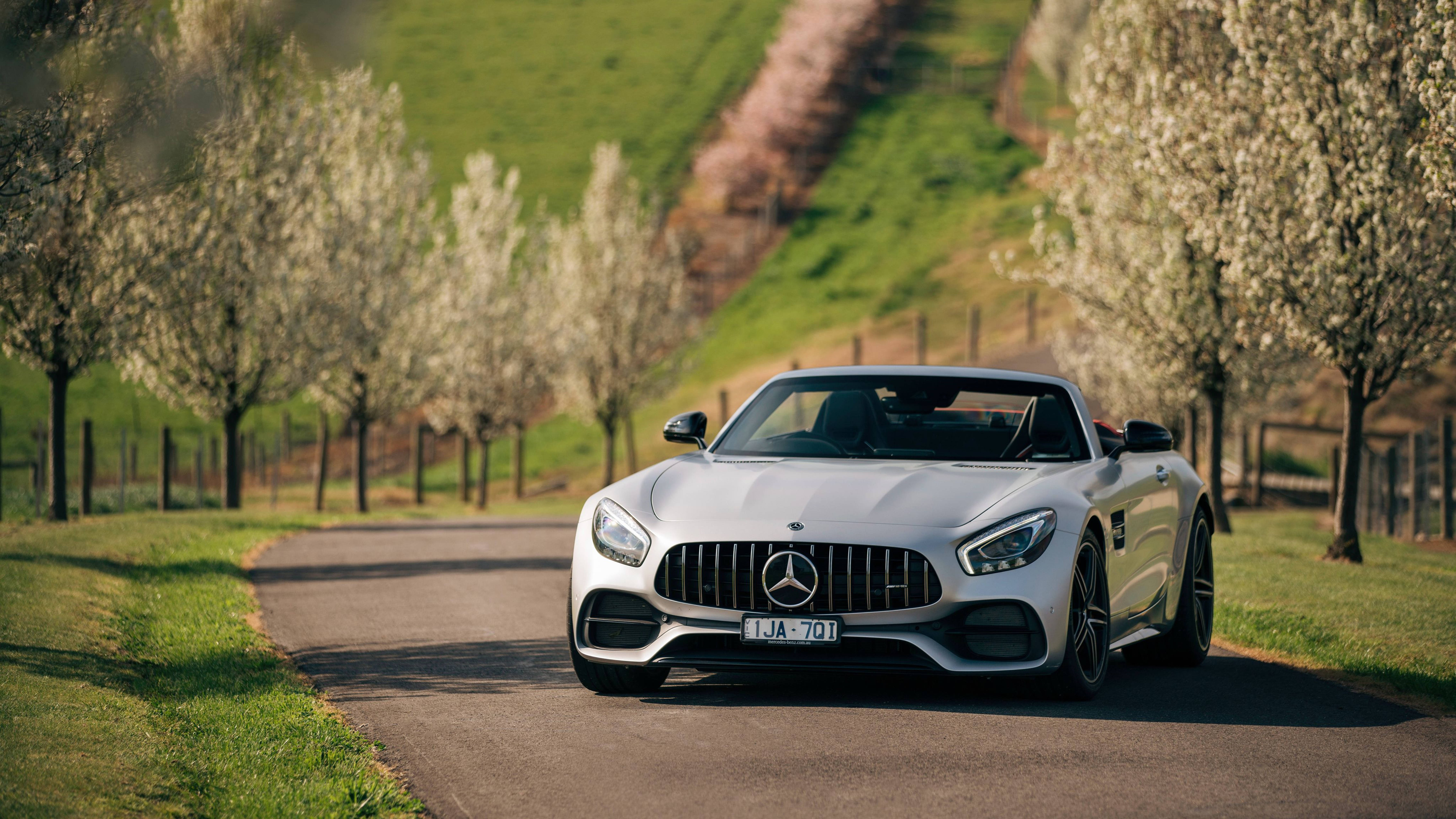 Mercedes Amg 4k Green Trees And Grass Background