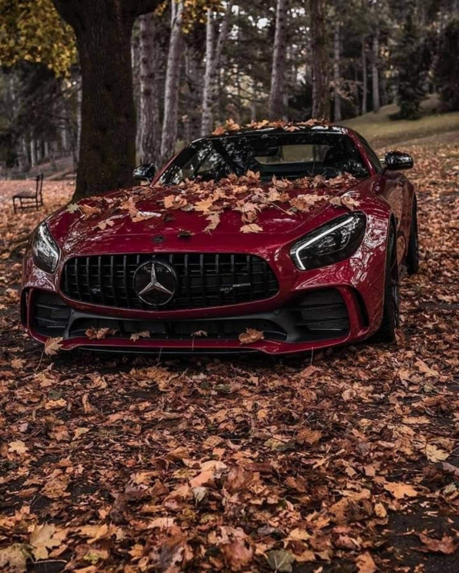 Mercedes Amg Gtr Showcasing Its Sleek Design Amidst The Vibrant Colors Of The Autumn Season. Background