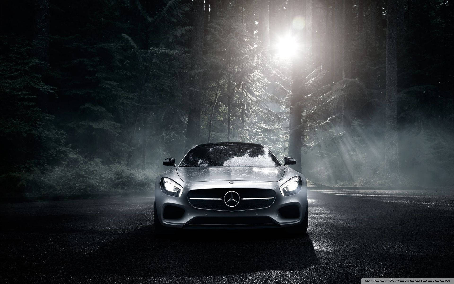 Mercedes Benz Amg Gt Dark Forest Background