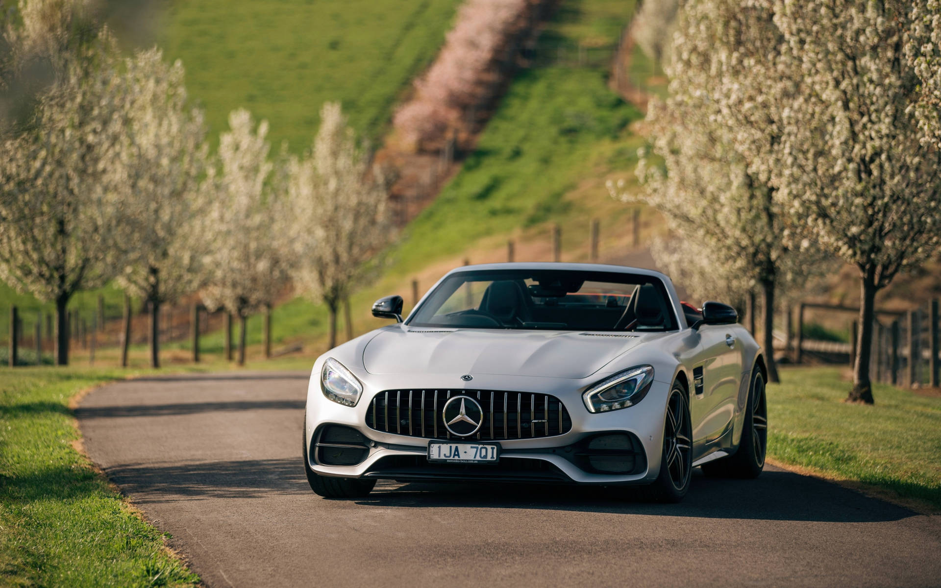 Mercedes Benz Car In Nature Road Background