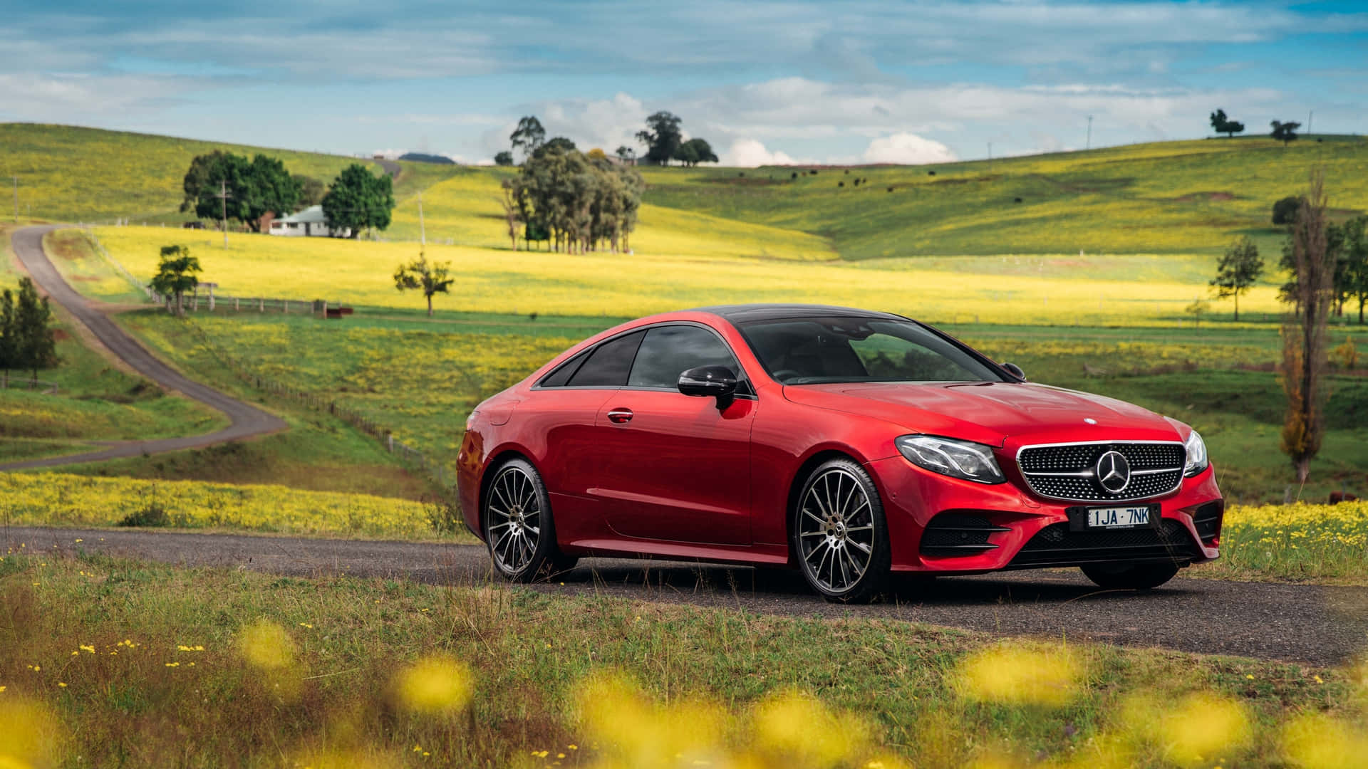 Mercedes Benz Clase E At The Countryside