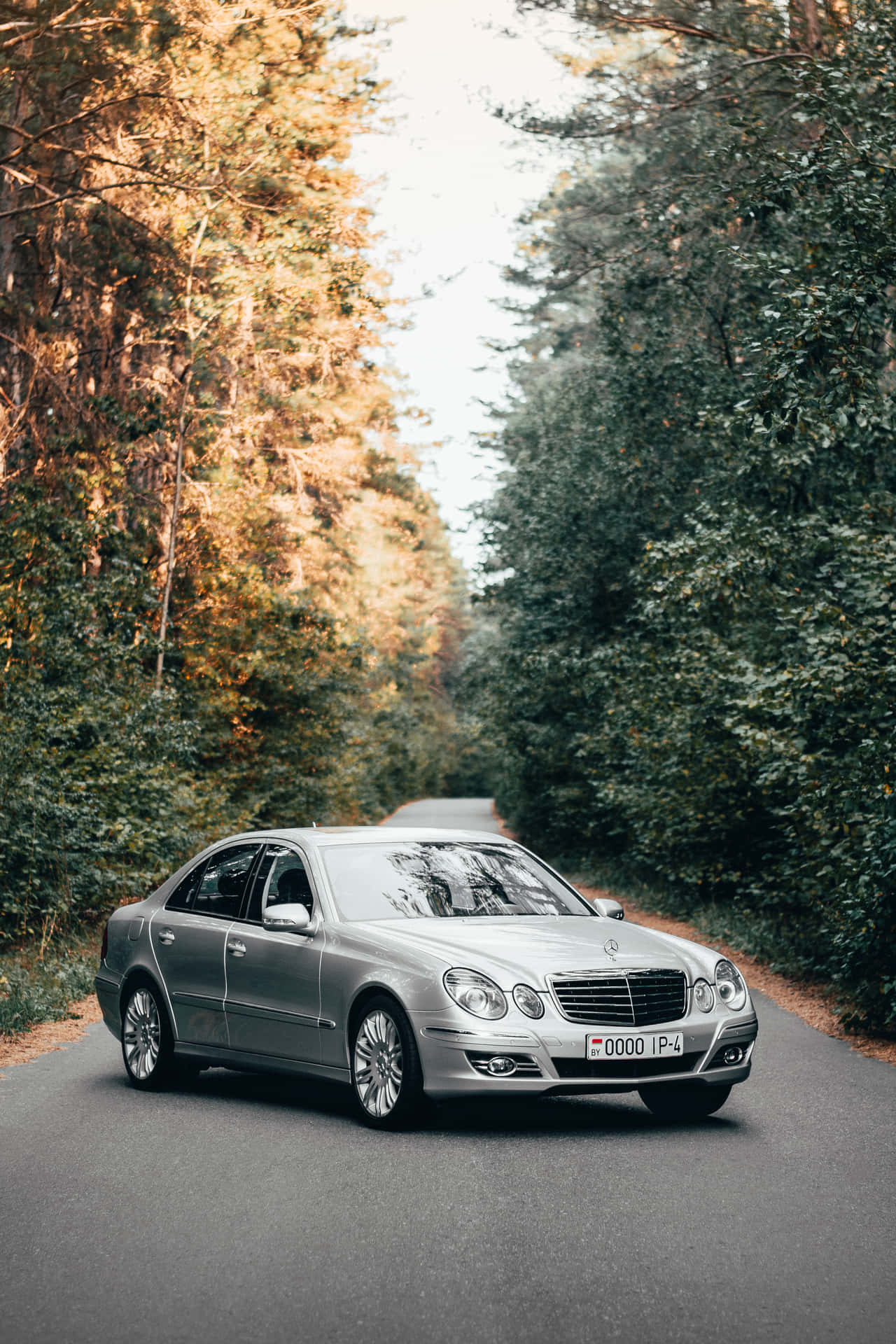 Mercedes Benz Clase E In The Woods