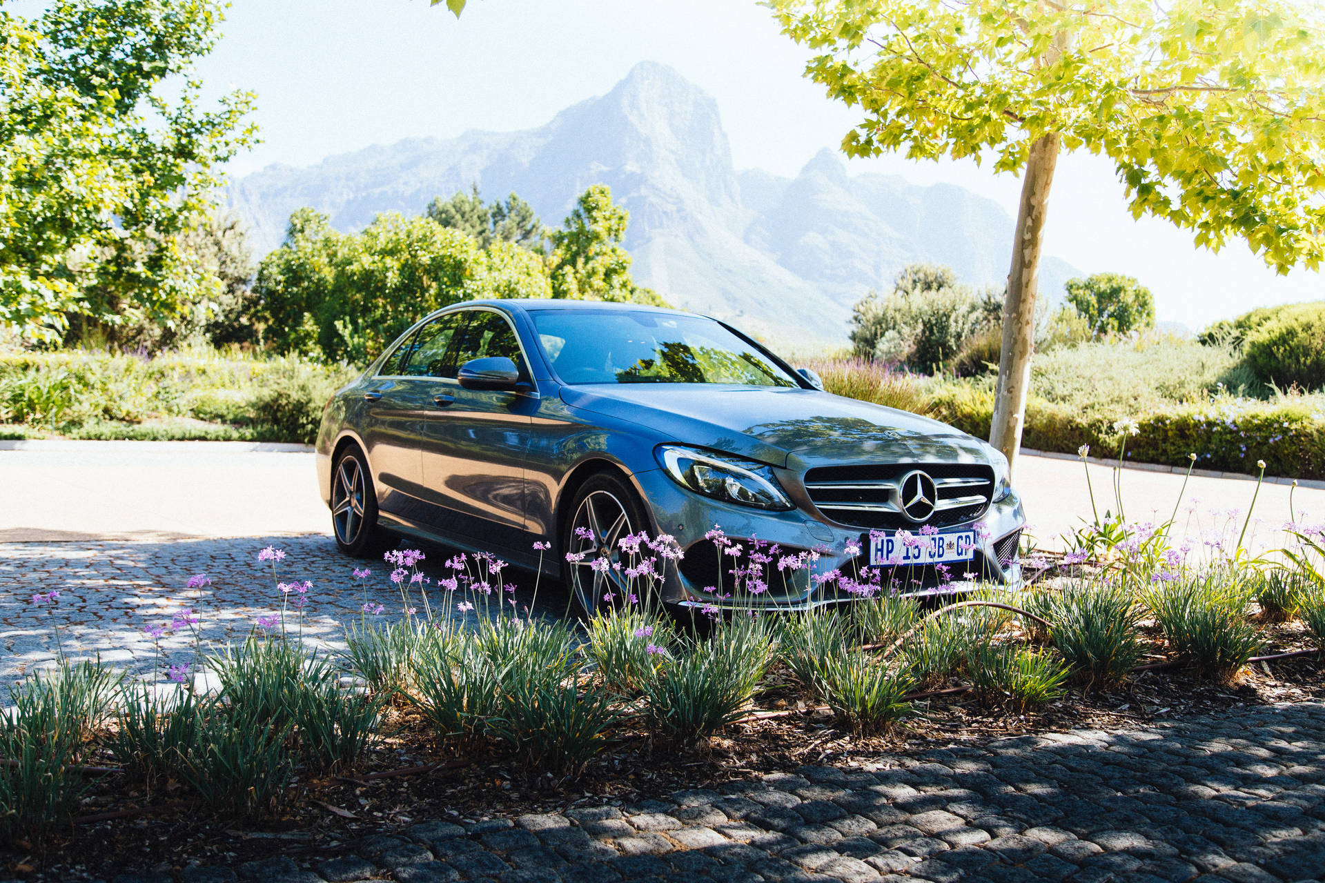 Mercedes Benz In Nature Background