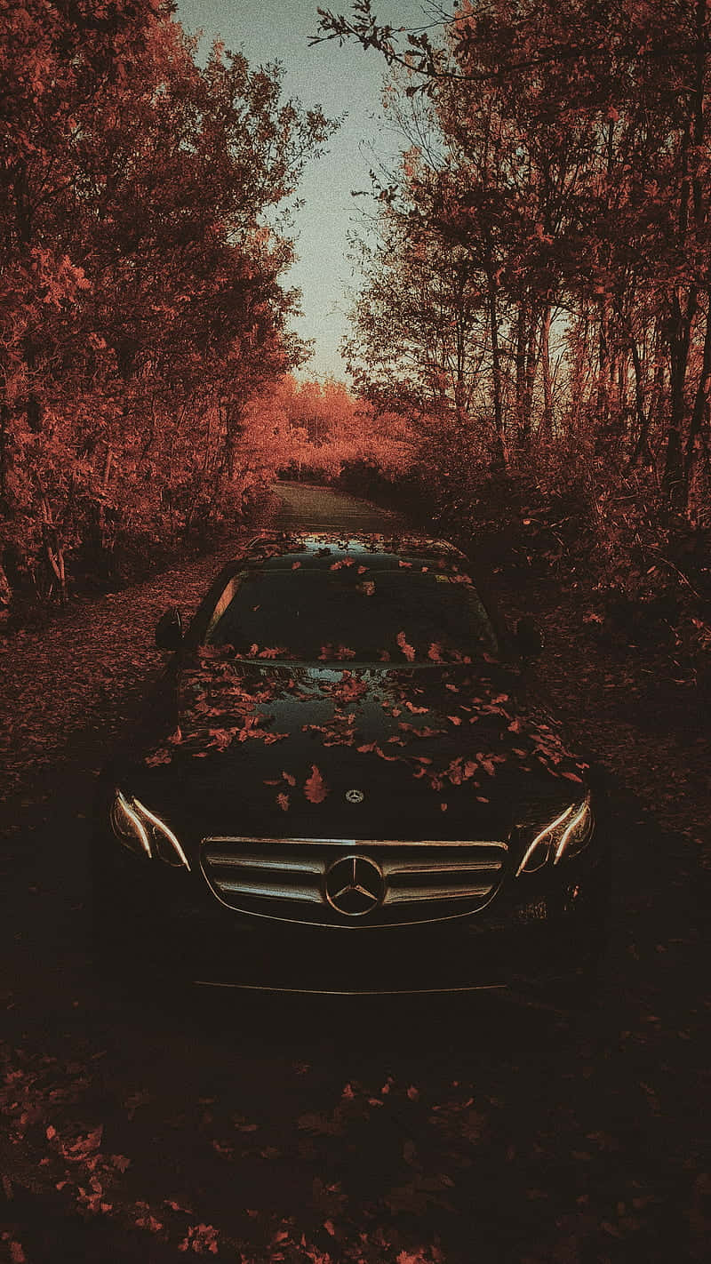 Mercedes Cls Parked In The Woods With Leaves