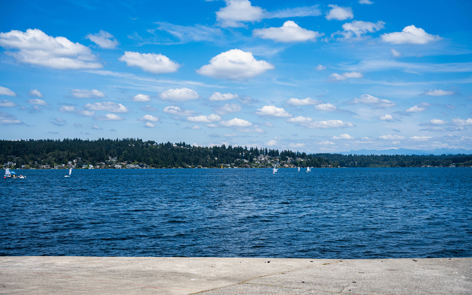 Mercer Island Seattle 4k Background