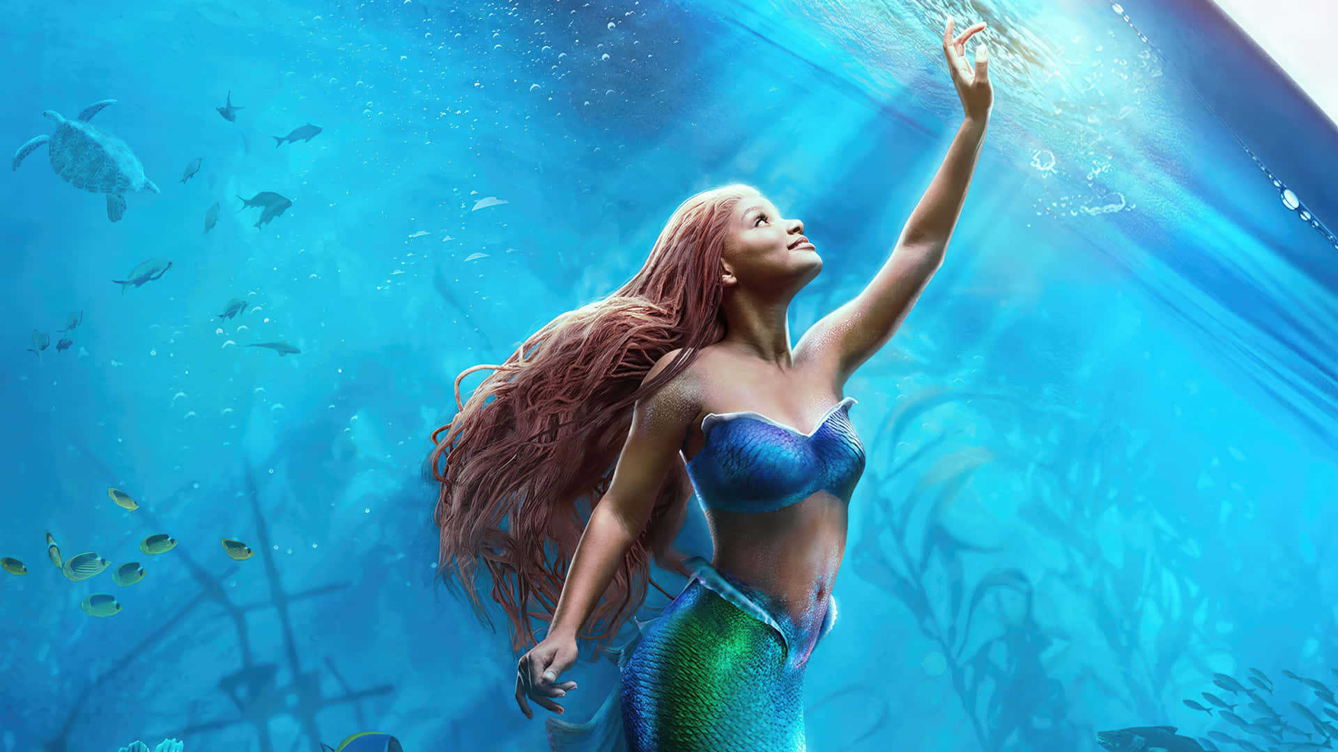 Mermaid Reachingfor Light Underwater Background