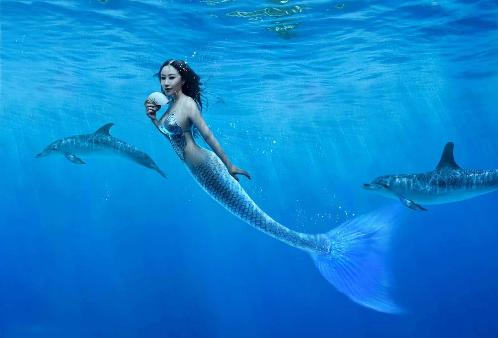 Mermaid With Two Dolphins