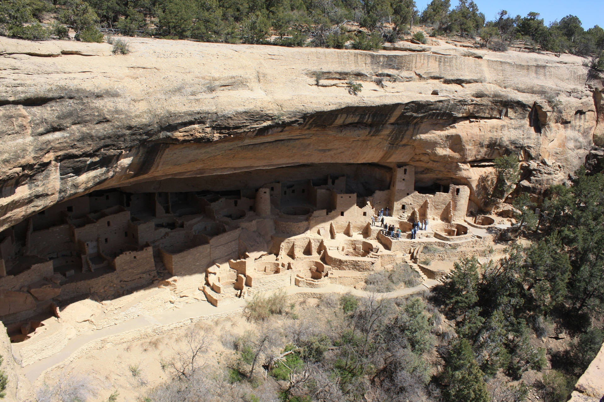 Mesa Verde Cliff