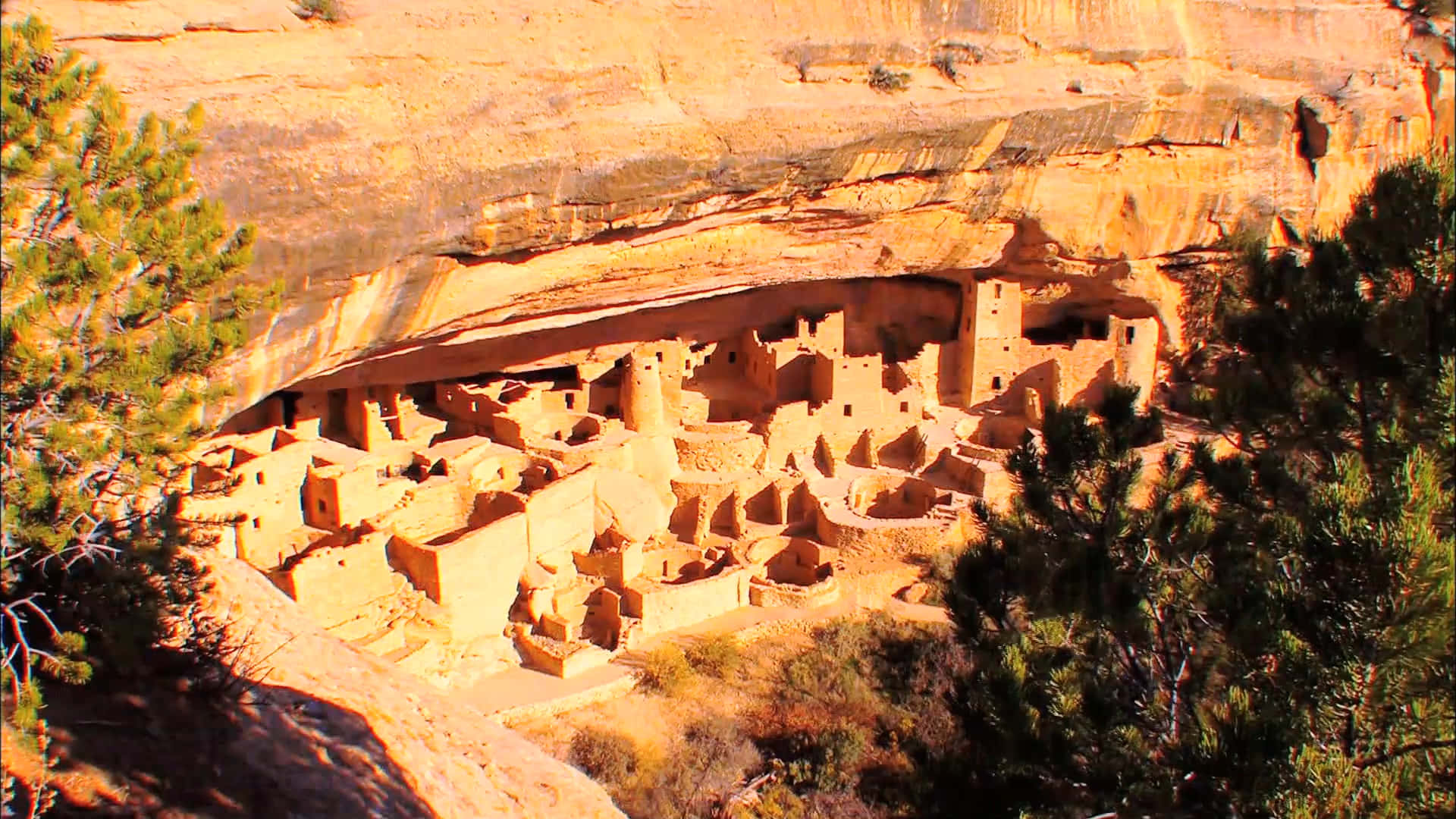 Mesa Verde National Park Cliff Palace Background