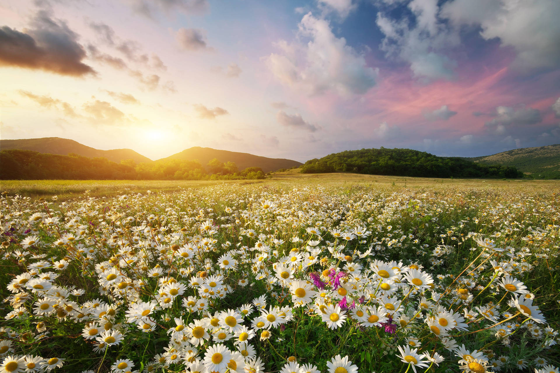 Mesmerizing 4k Landscape - Tranquil Wilderness Background