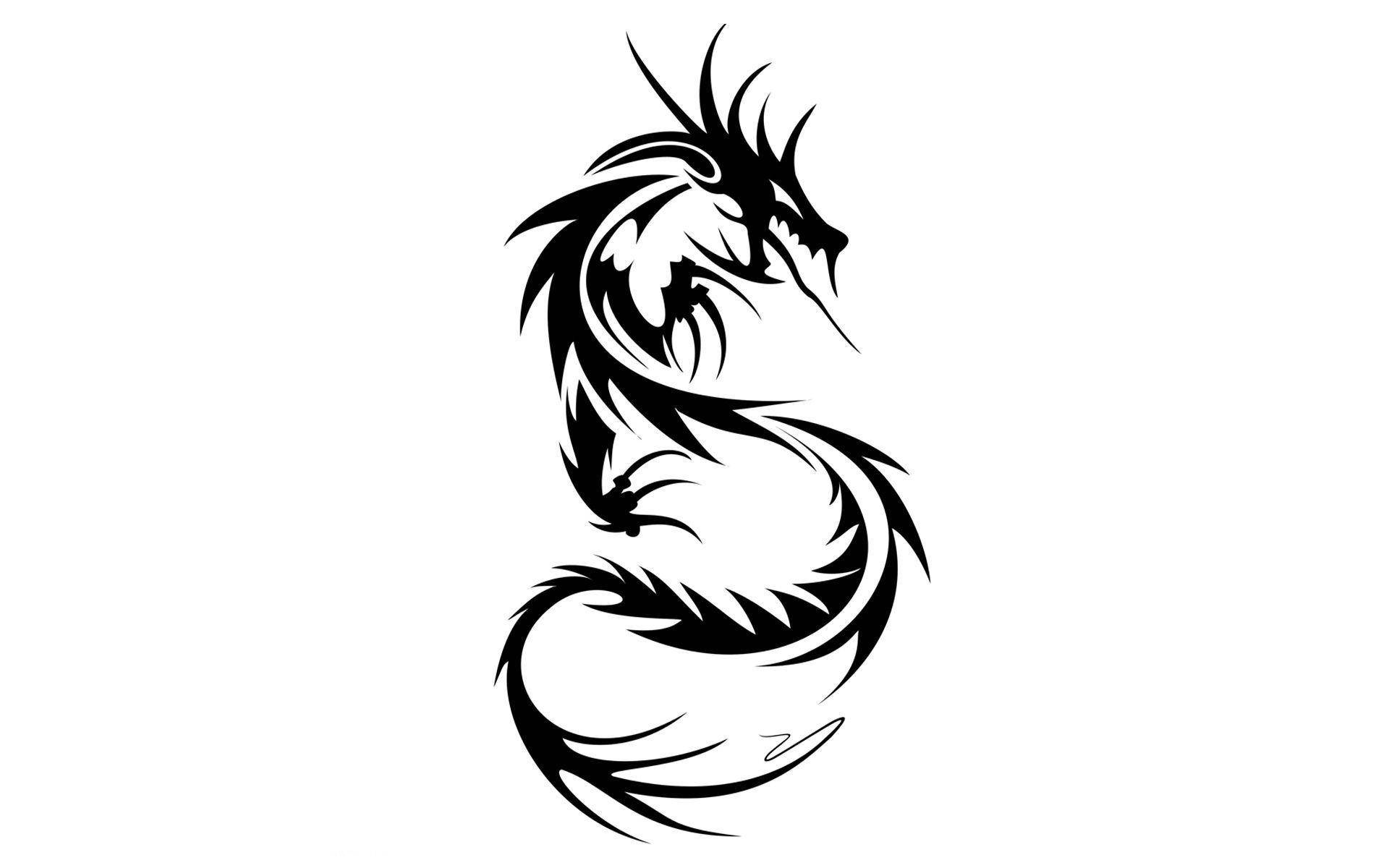 Mesmerizing Black Dragon Hd Tattoo Ensemble