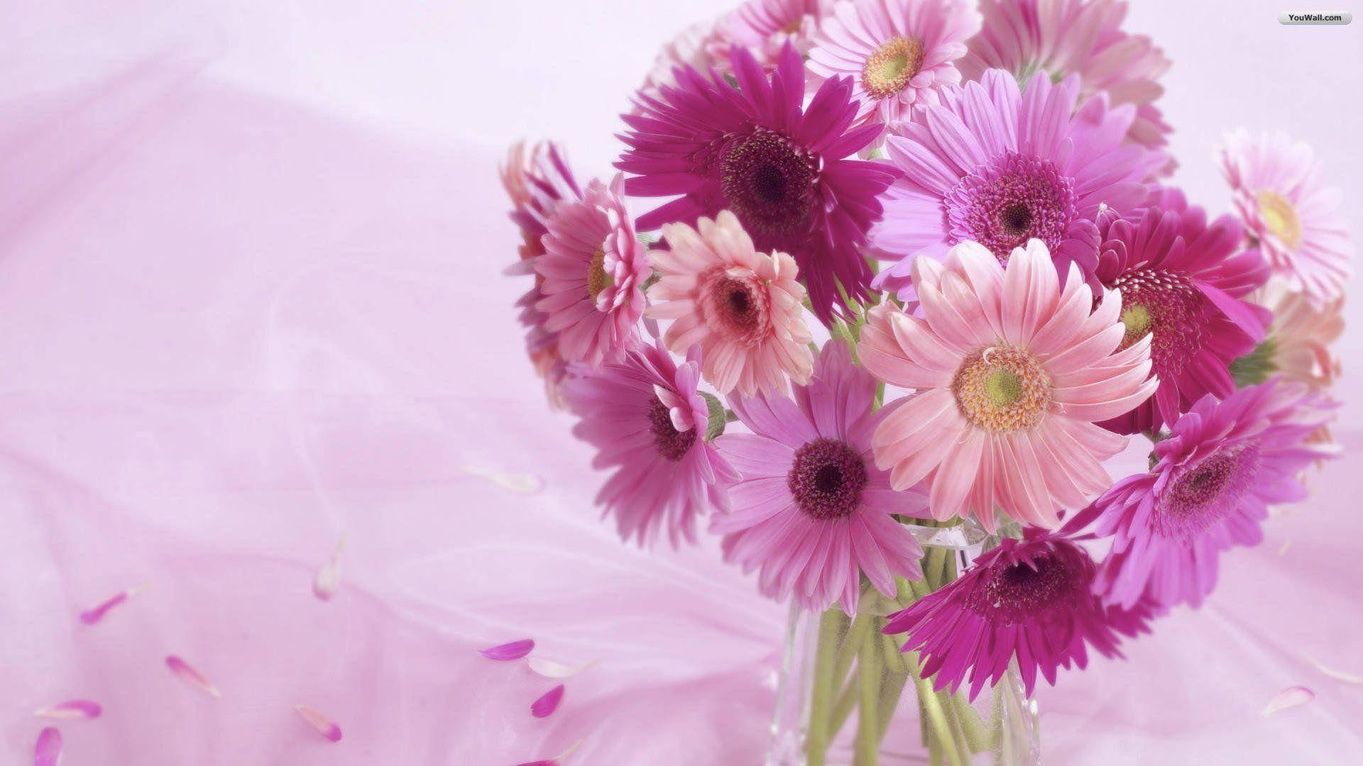 Mesmerizing Blossom Of Pink Flower