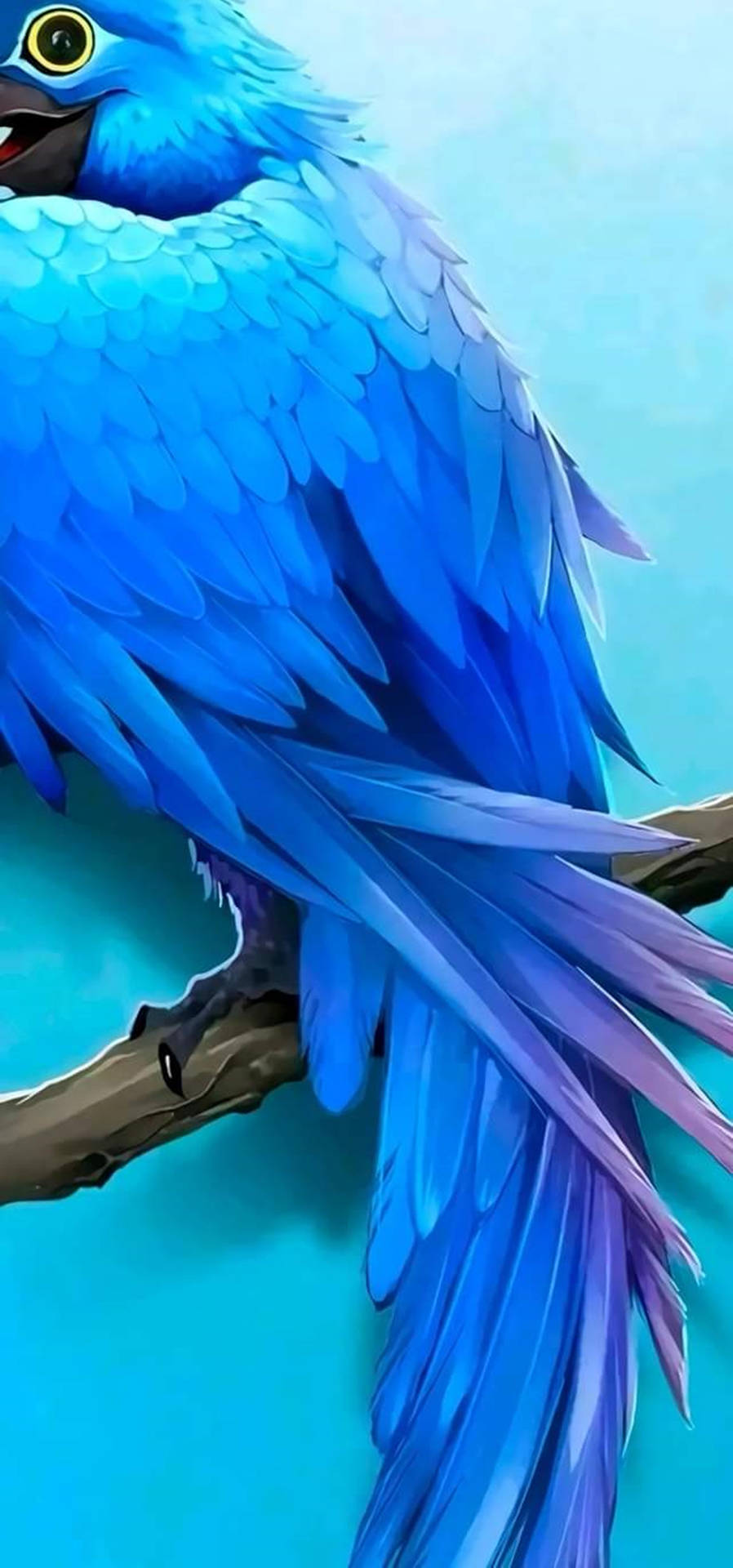 Mesmerizing Blue Bird Punch Hole 4k Wallpaper