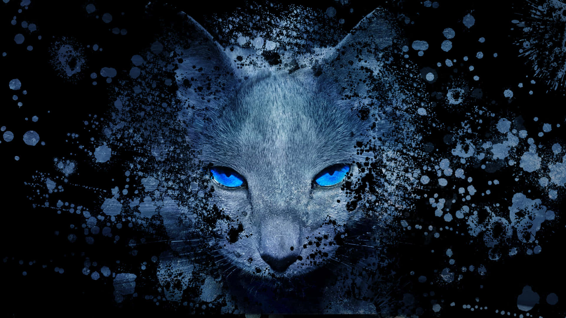 Mesmerizing Blue Cat Eyes Background