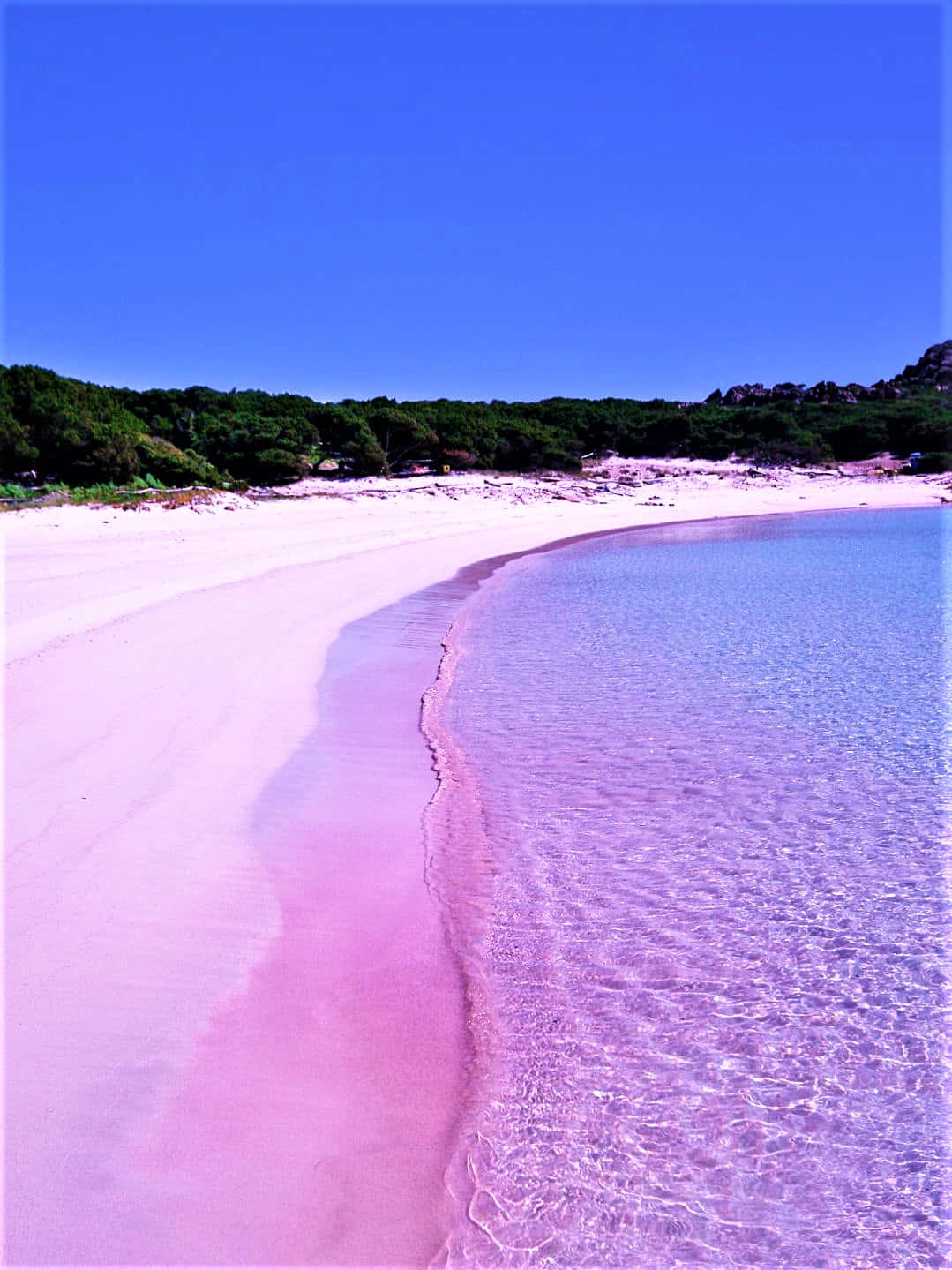 Mesmerizing Pink Beach - A Unique Tropical Paradise Background