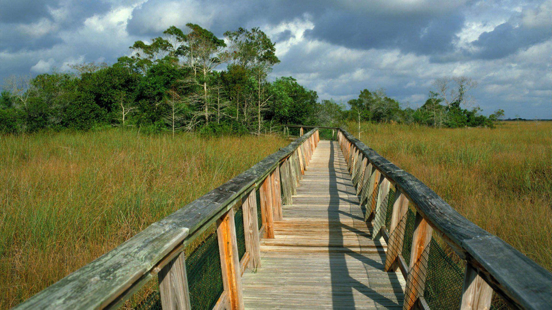 Mesmerizing Scenery Of Mahogany Hammock Trail, Everglades National Park