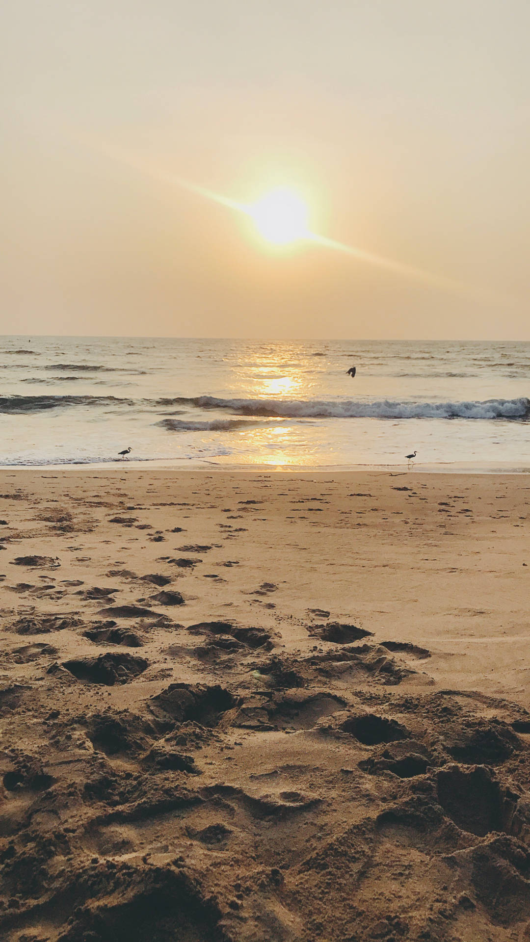 Mesmerizing Sunrise In Goa, India Background