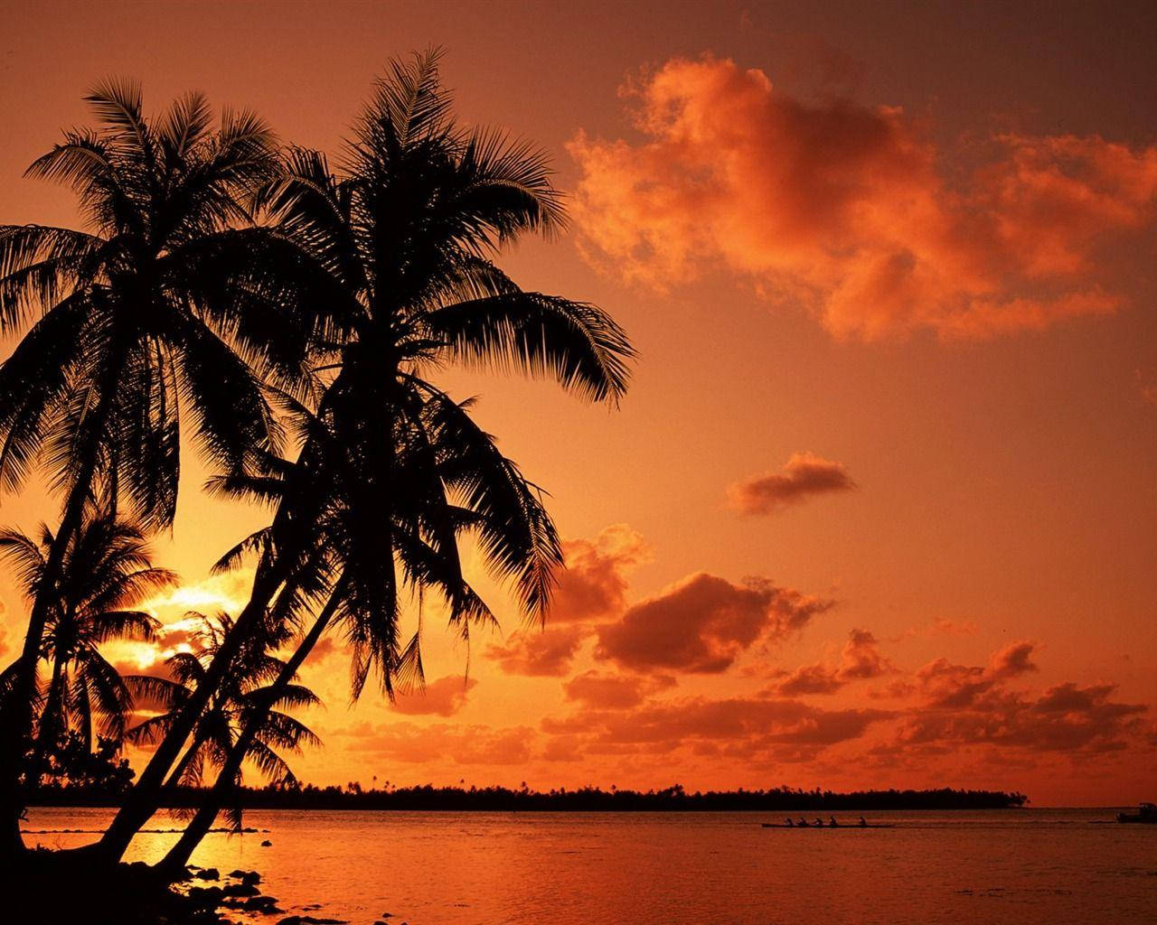 Mesmerizing Tropical Beach Sunset Background