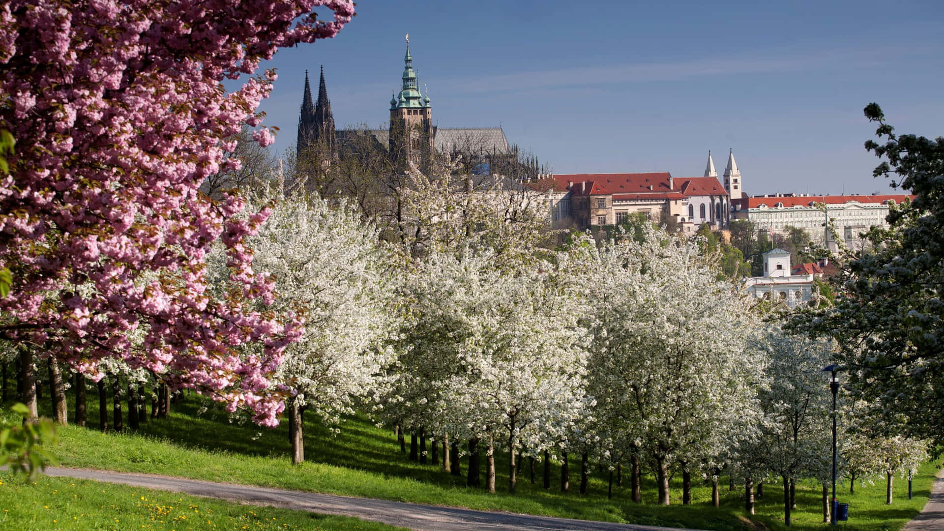 Mesmerizing View Of Prague Castle Background