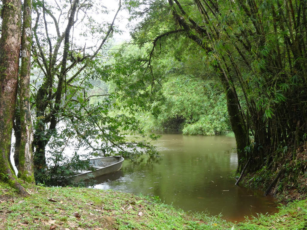 Mesmerizing View Of The La Comté River In French Guiana Background