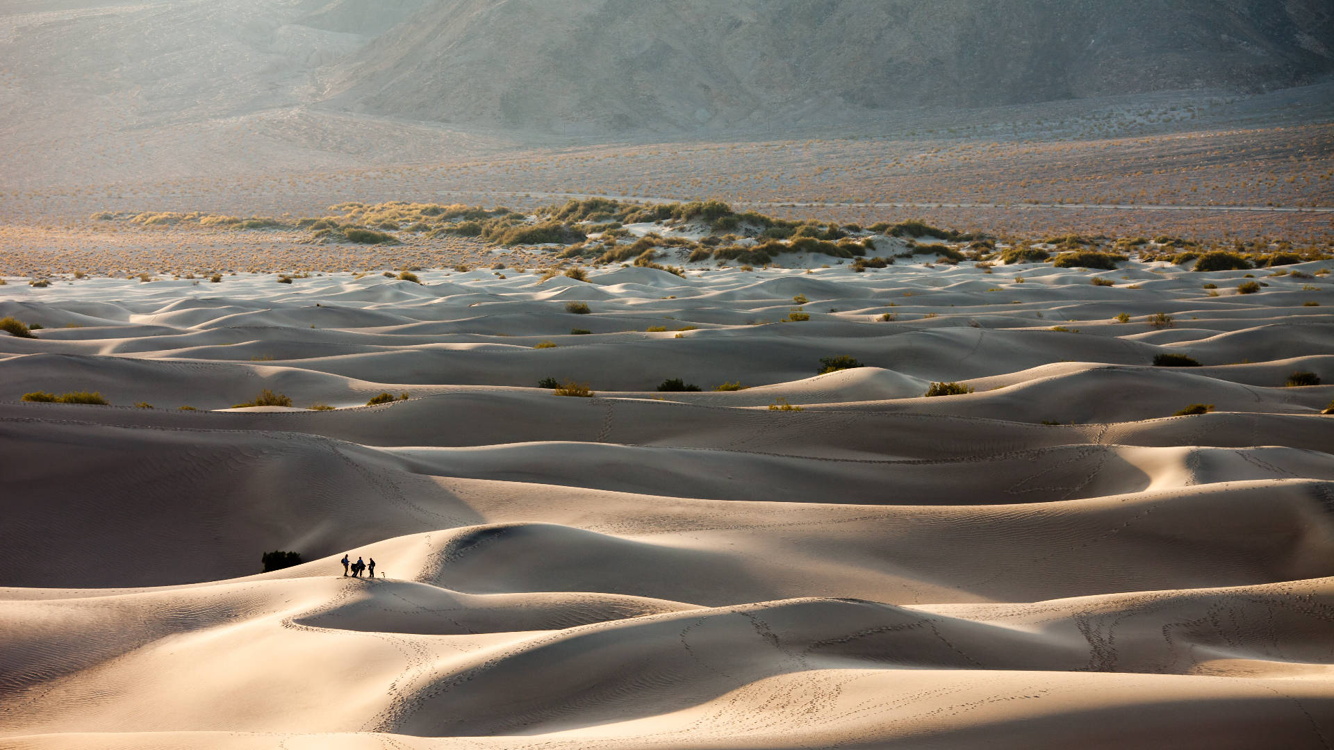 Mesquite Flat Dunes Death Valley