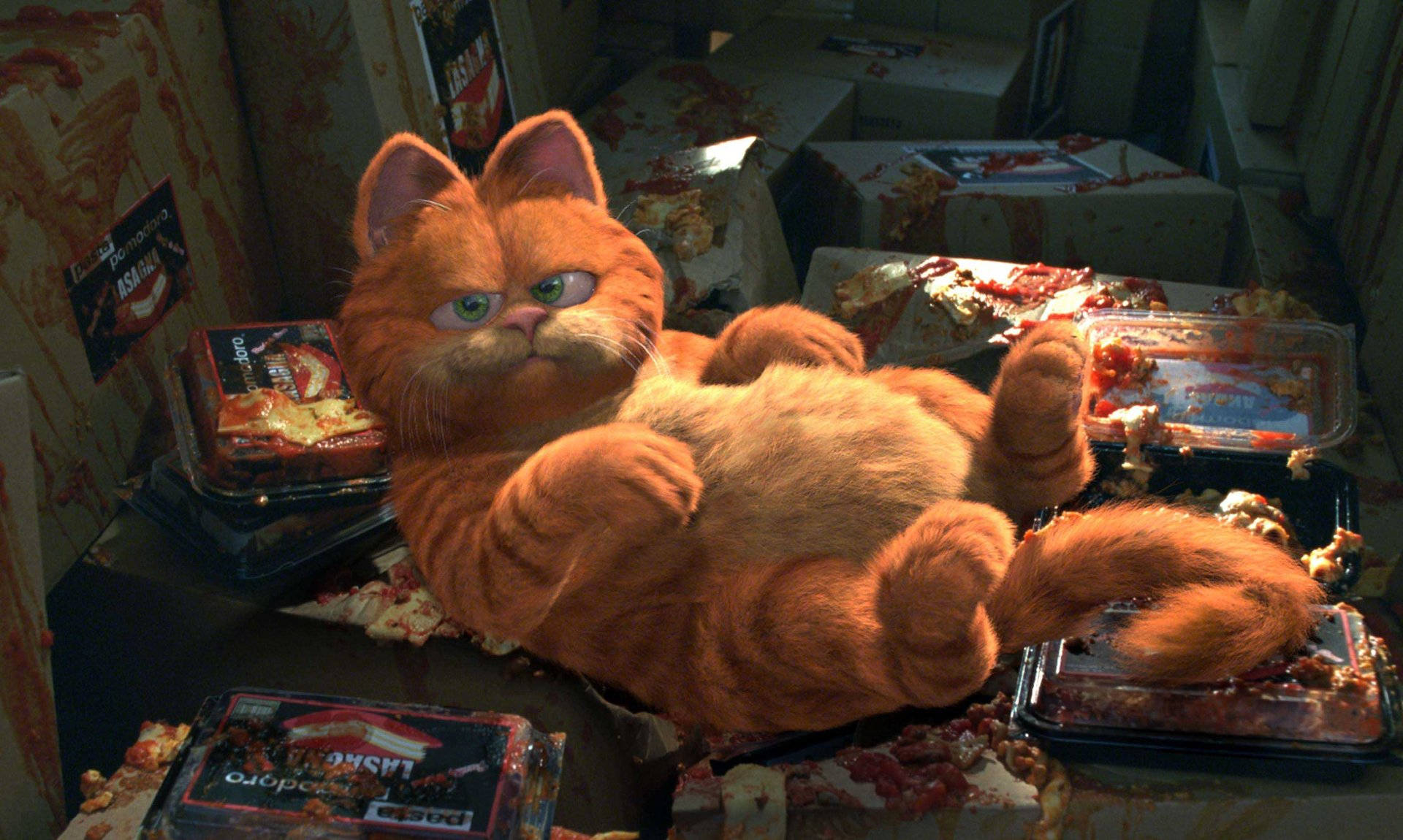 Messy Cat Garfield Background