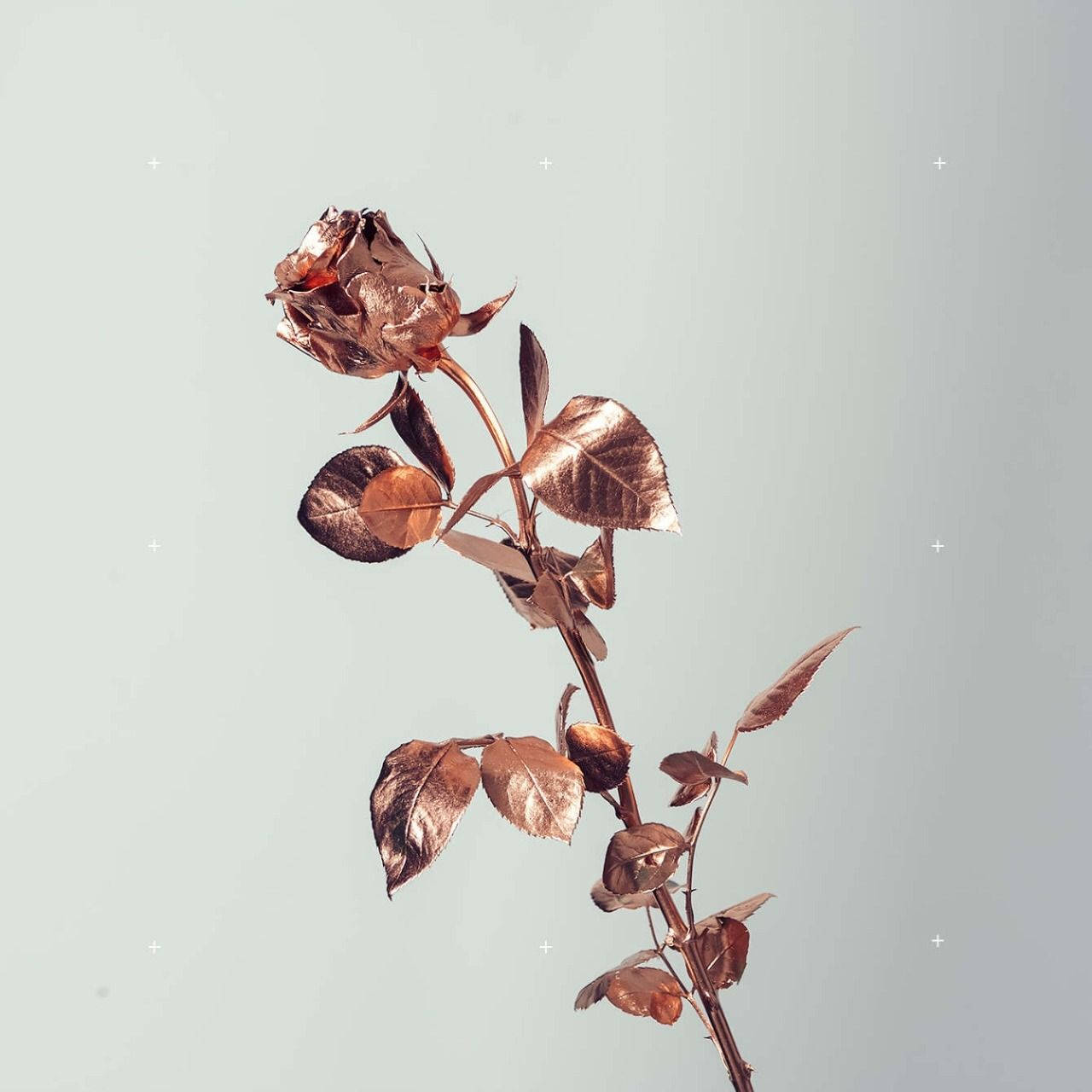 Metallic Rose Gold Flower Background