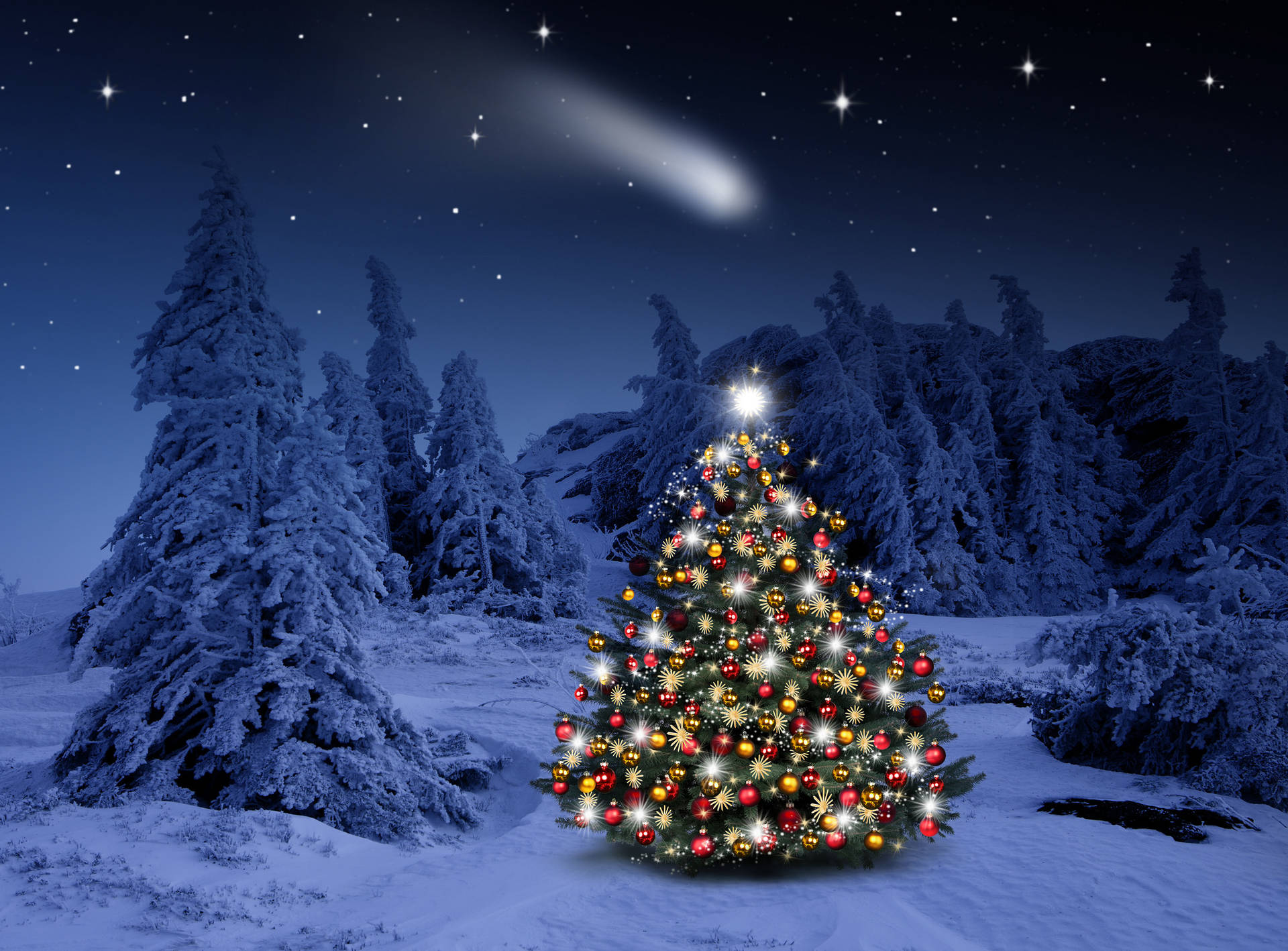 Meteor Passing By A Christmas Forest Background