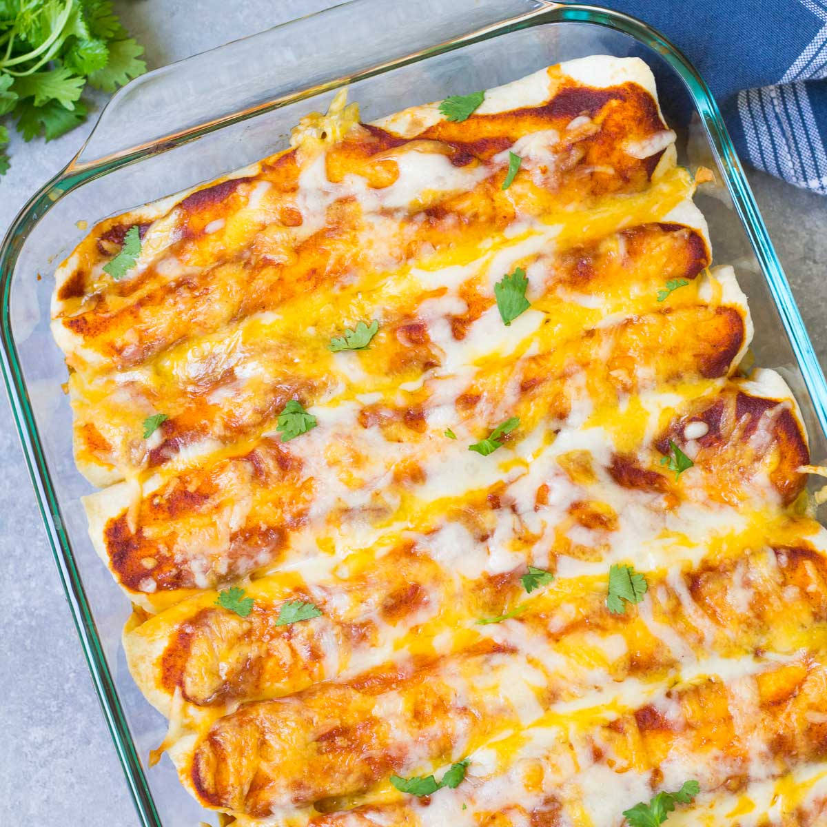 Mexican Baked Enchiladas With Cheesy Top