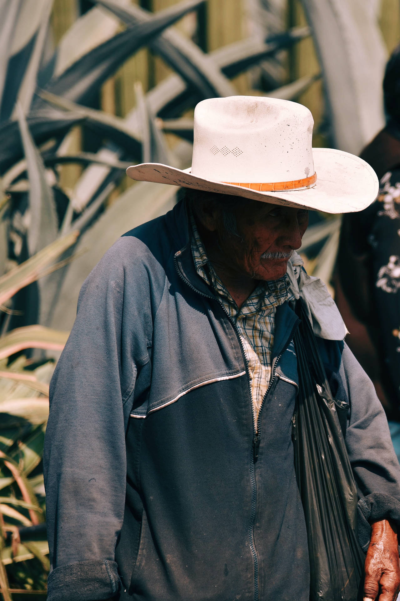 Mexican Man Old For Phone Background