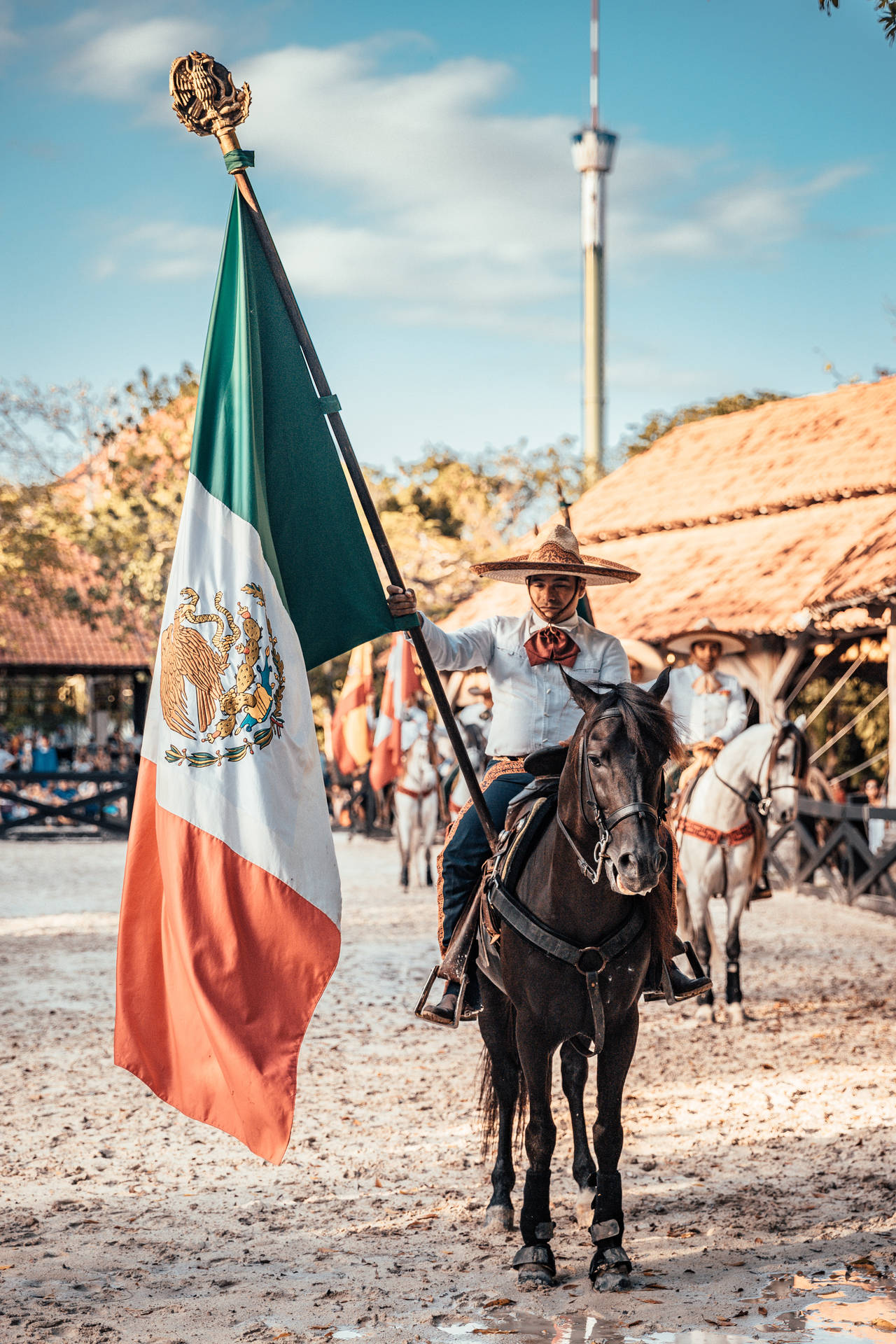 Mexican Man On Horse With Flag Background