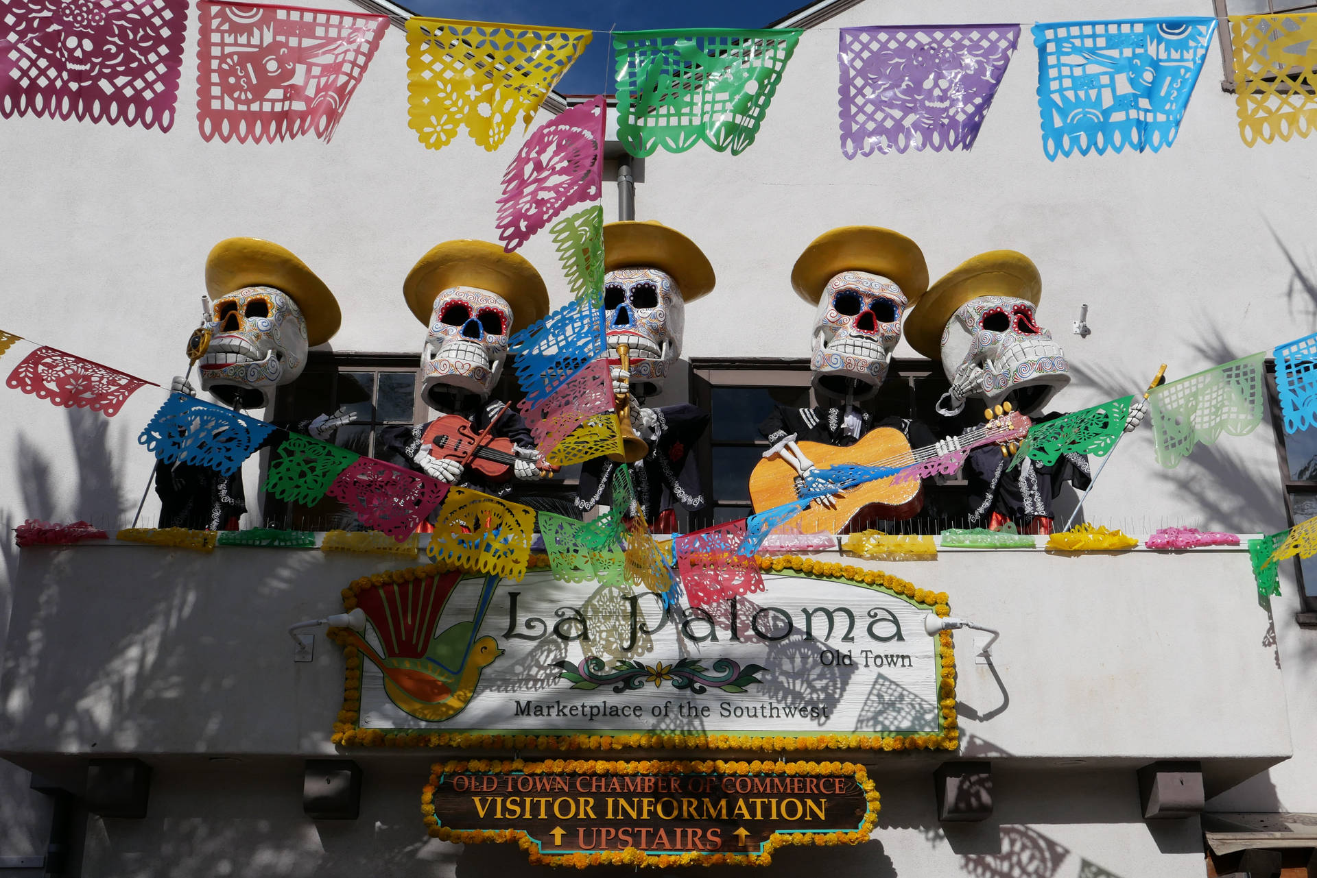 Mexican Man Skeleton With Guitars Background