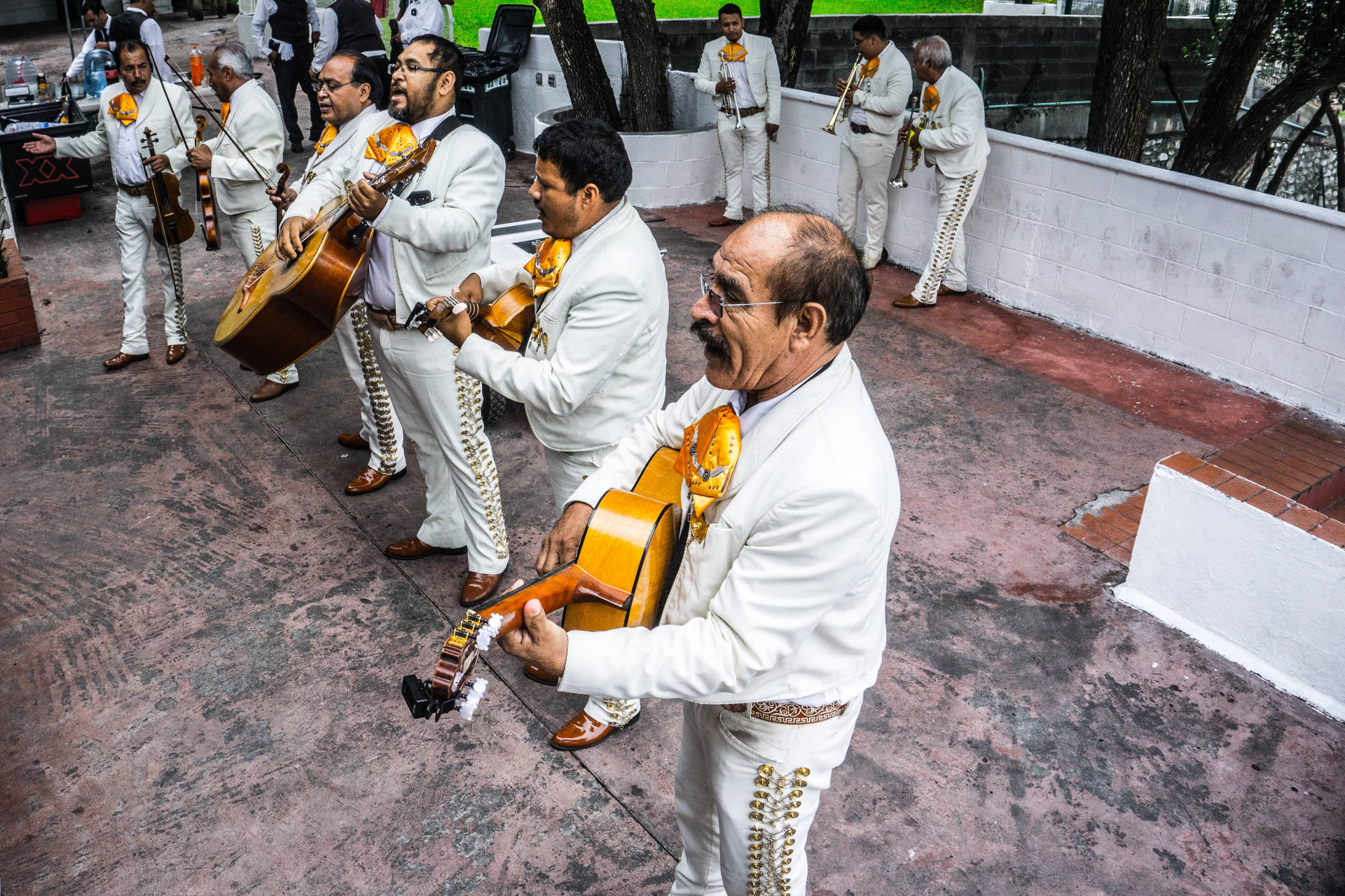 Mexican Man White Suit Background