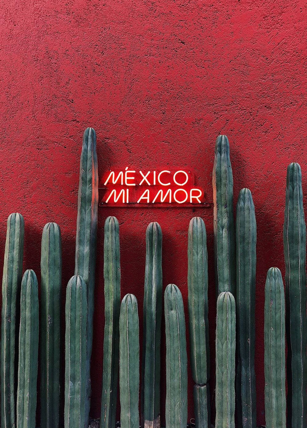 Mexican Mi Amor Neon Light Background
