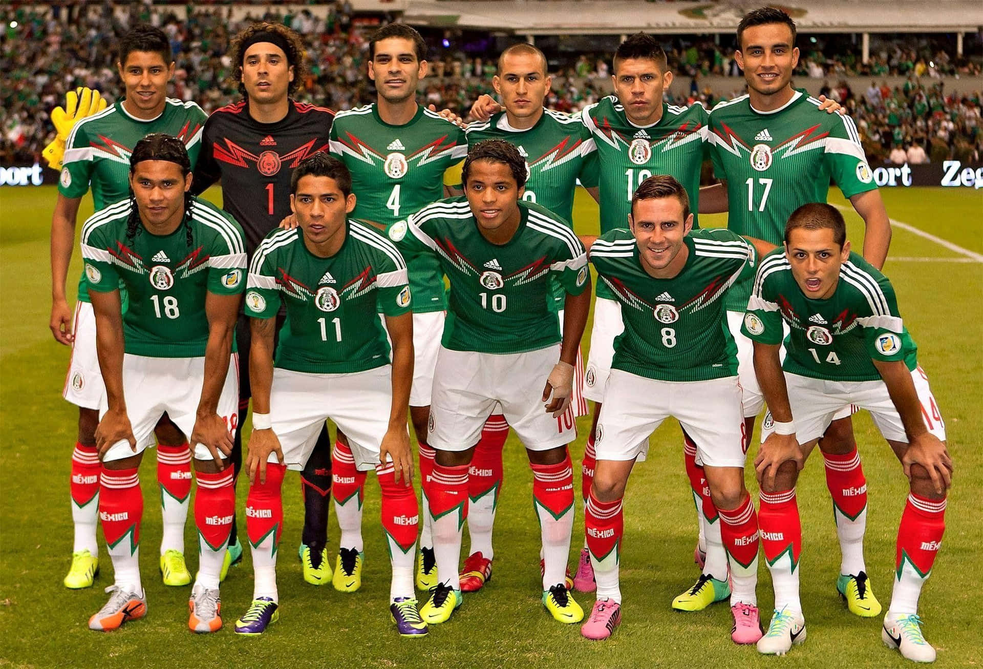 Mexico Soccer Fans Enjoying The Game Background