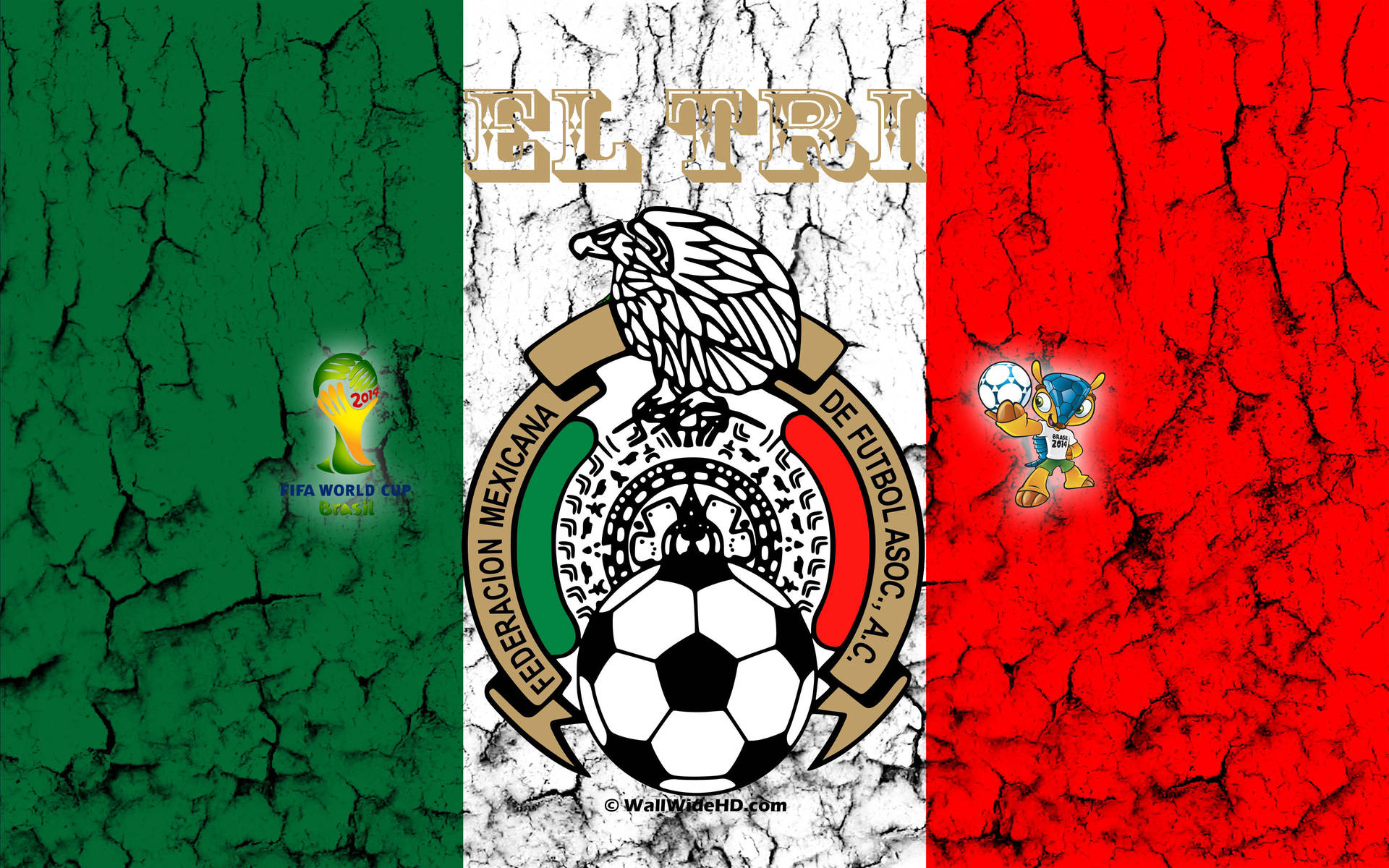 Mexico Soccer Team Federation Background