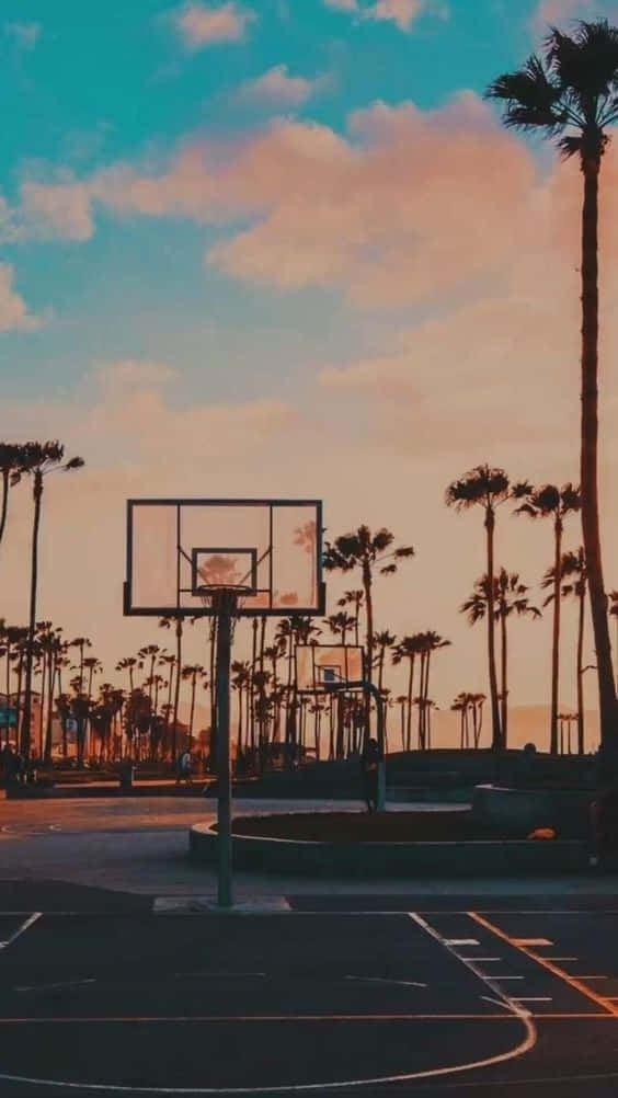 Miami Basketball Court Palm Trees Iphone Background