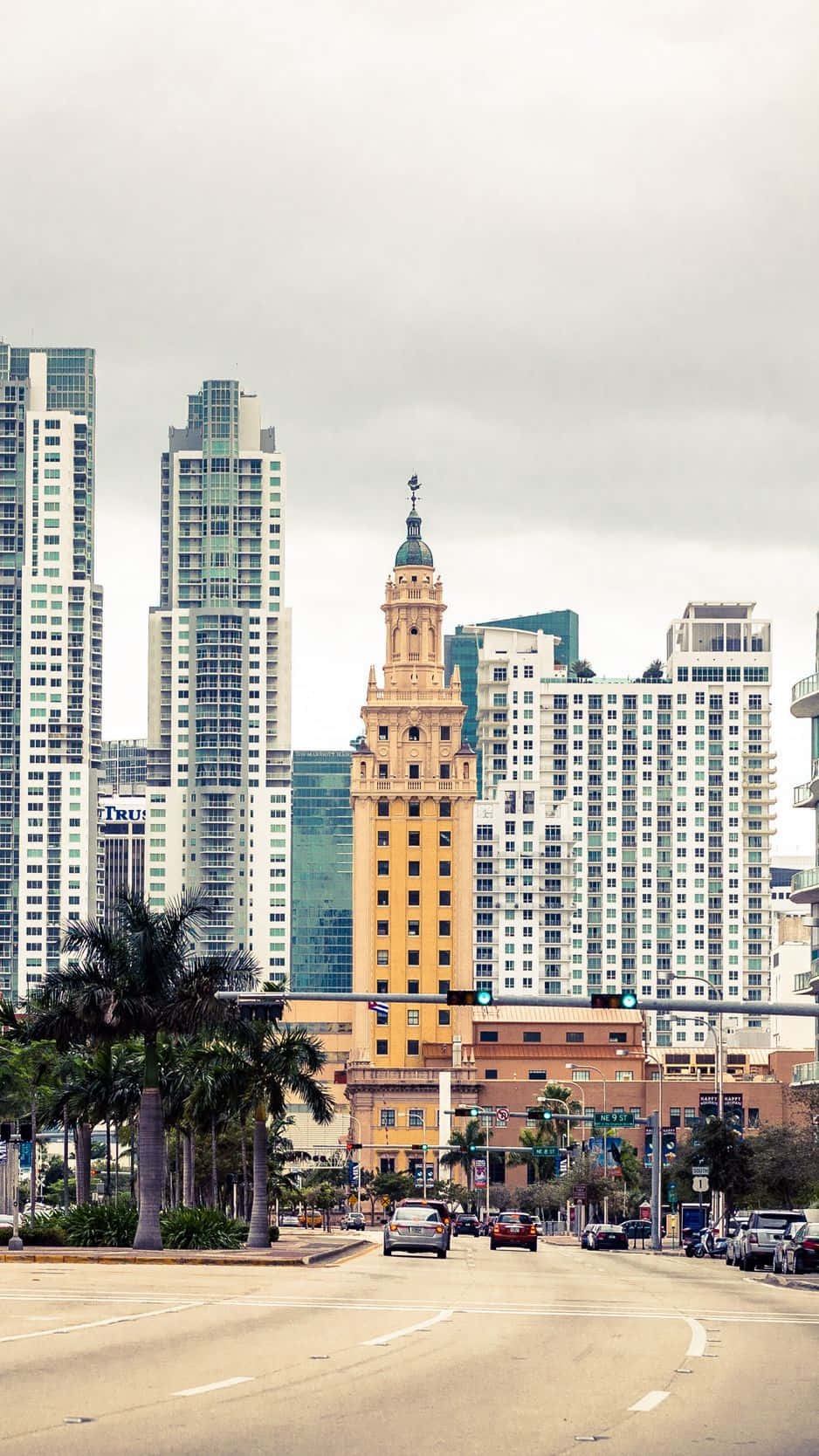 Miami City Hall Background