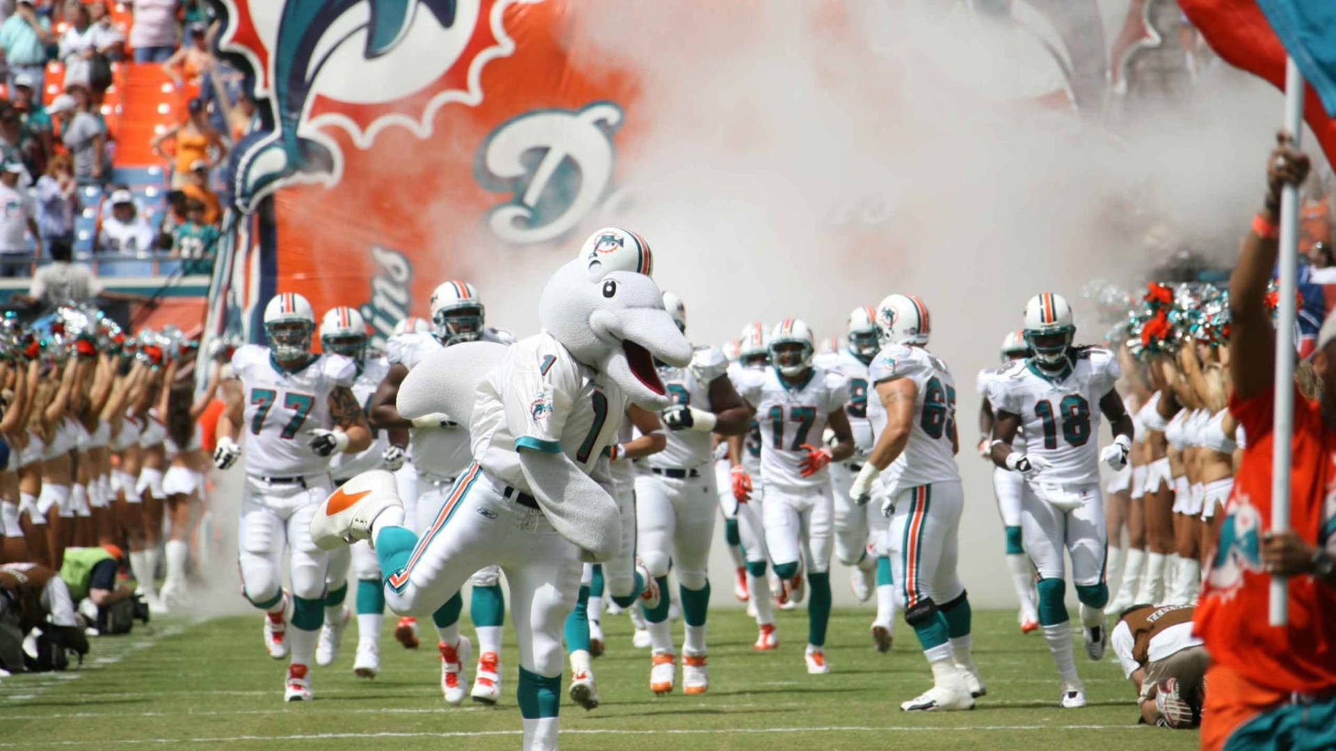 Miami Dolphins Grand Entrance Background