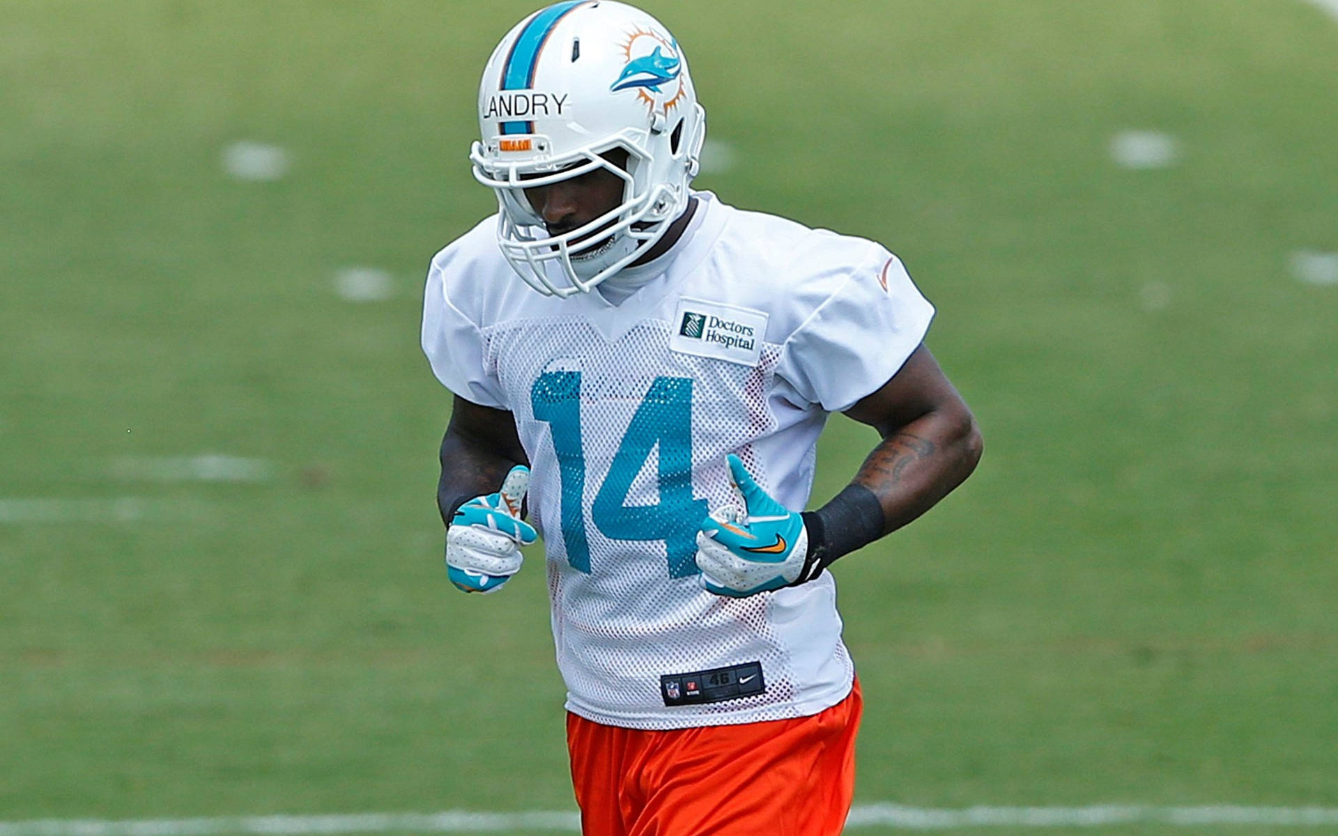 Miami Dolphins Jarvis Landry Background