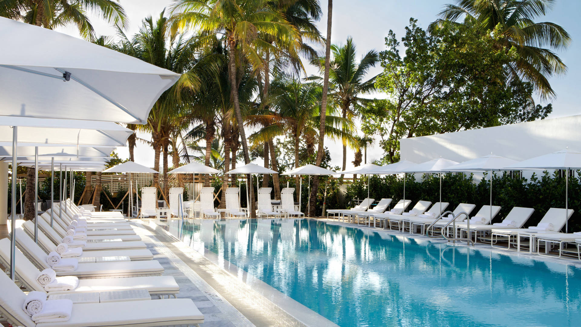 Miami Pool Resort Background