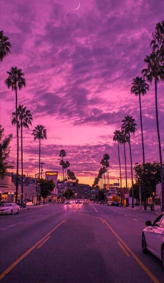 Miami Purple Sky Street Iphone Background